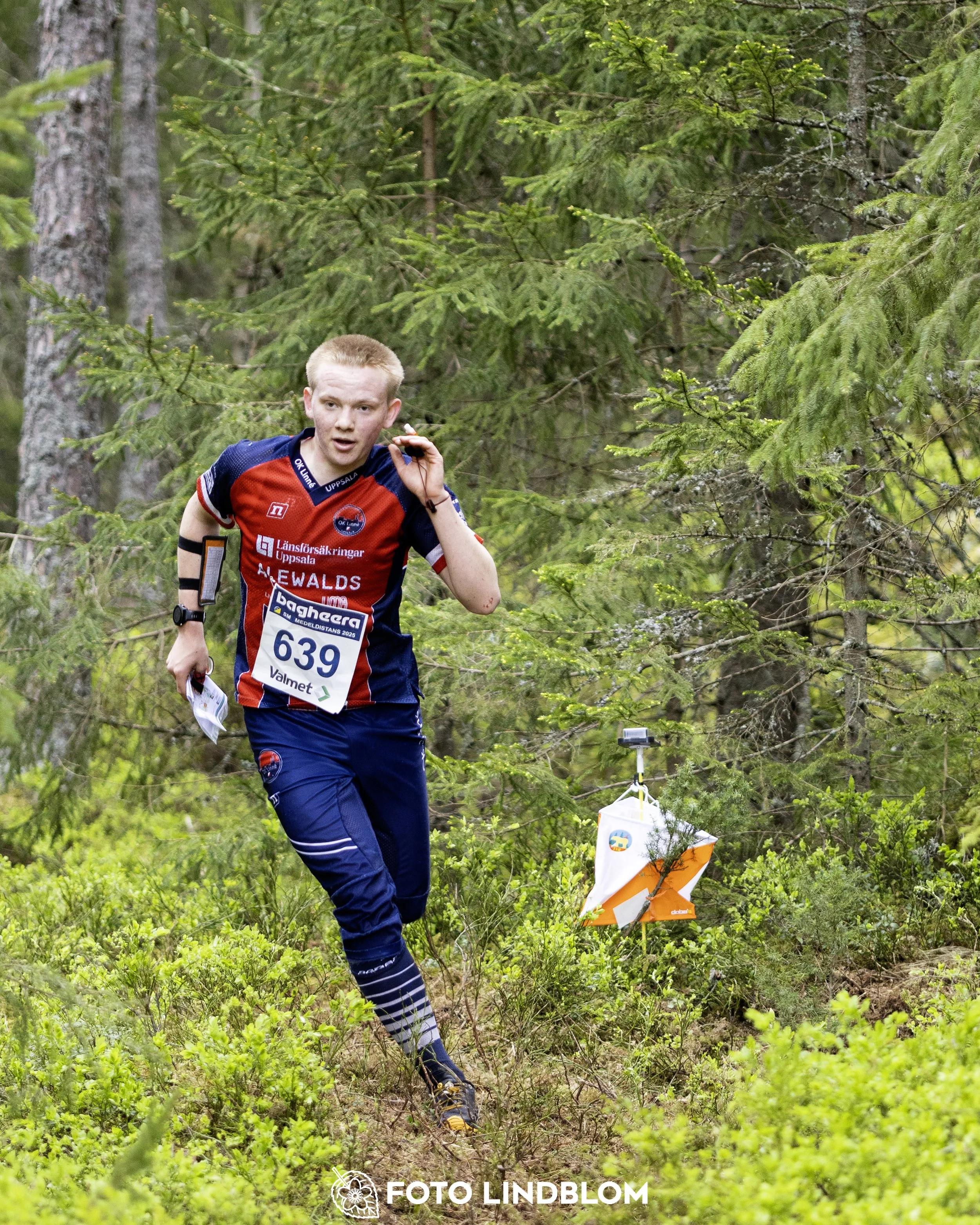 A picture from the Swedish national championship in middle distance orienteering and Swedish league race