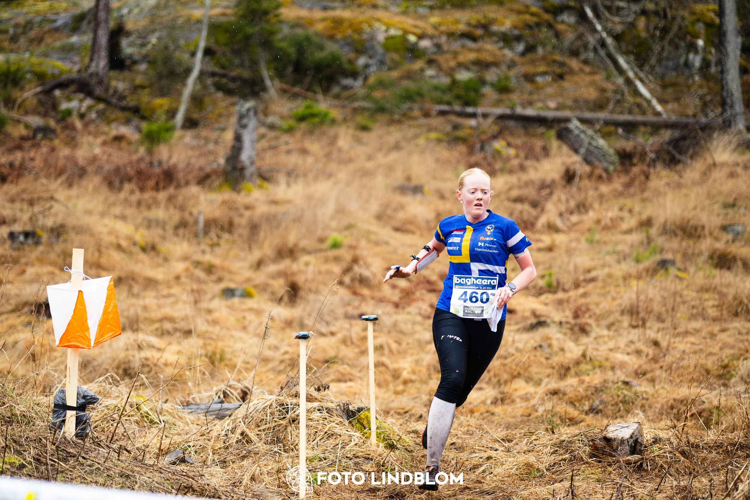 A scene from the Swedish League orienteering competition in Kolmården spring 2026, captured by Foto Lindblom.