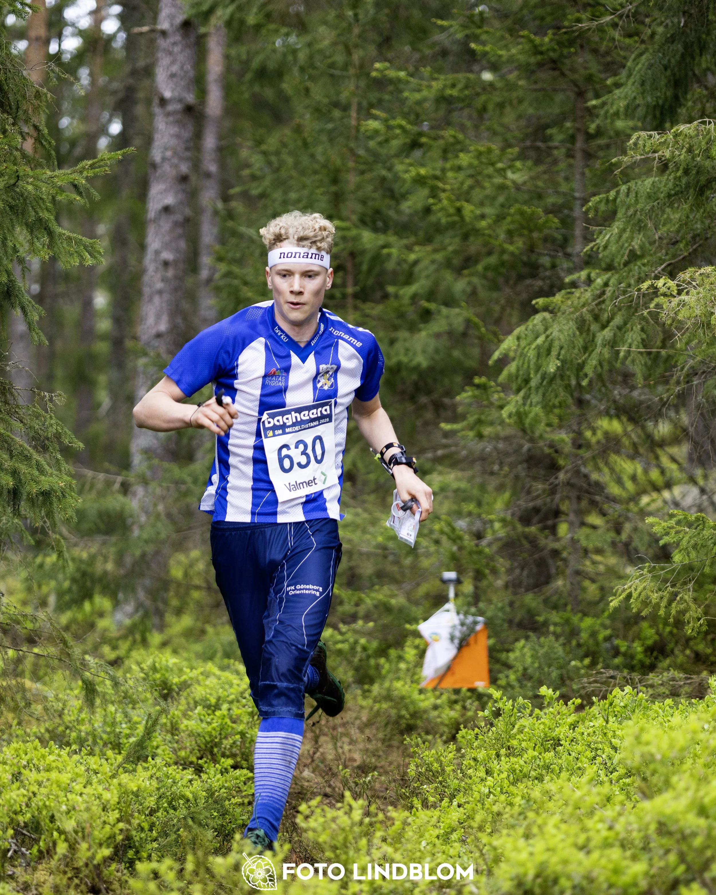 A picture from the Swedish national championship in middle distance orienteering and Swedish league race
