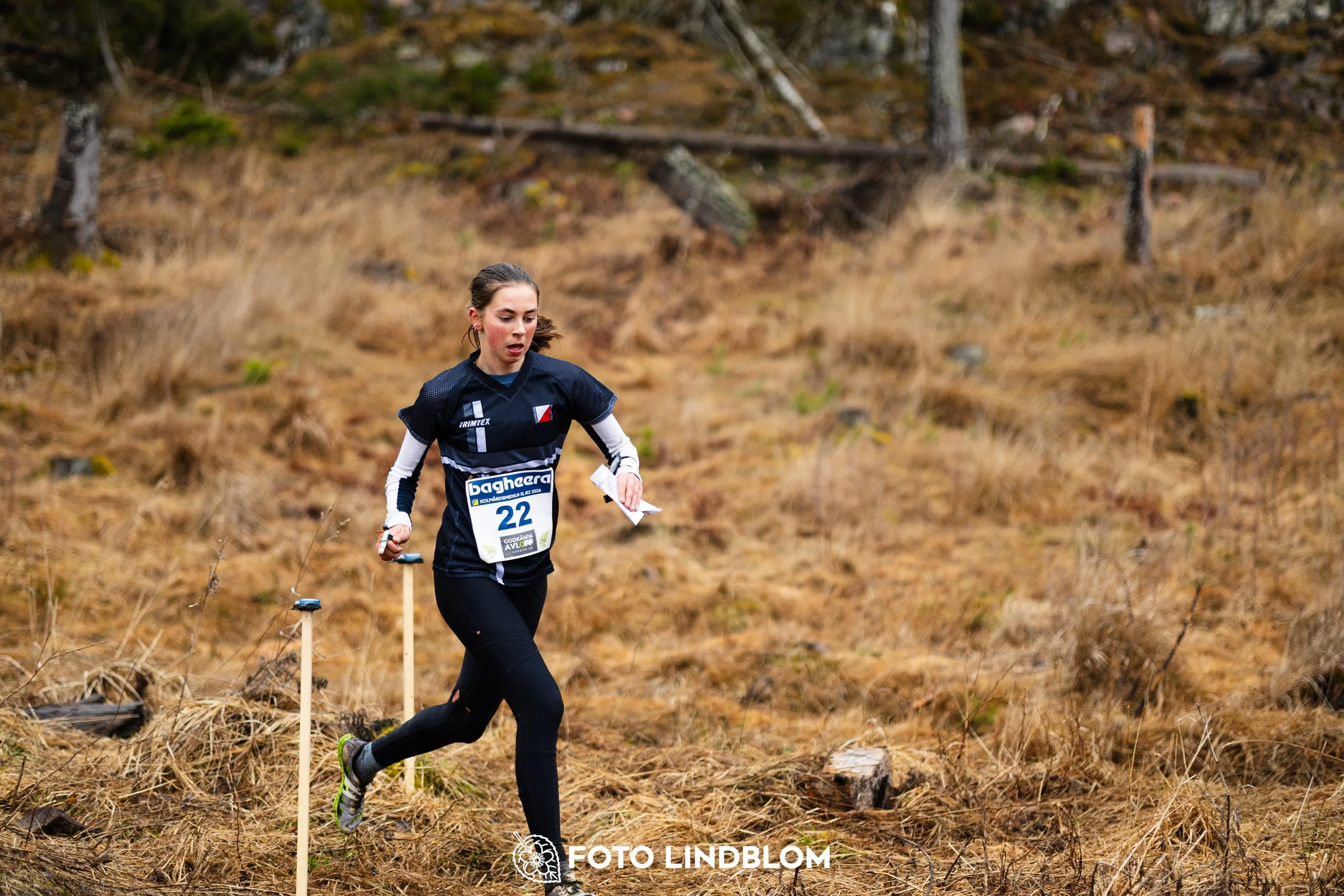 A photo from a Swedish orienteering league race in Kolmården during spring 2026, captured by Foto Lindblom.