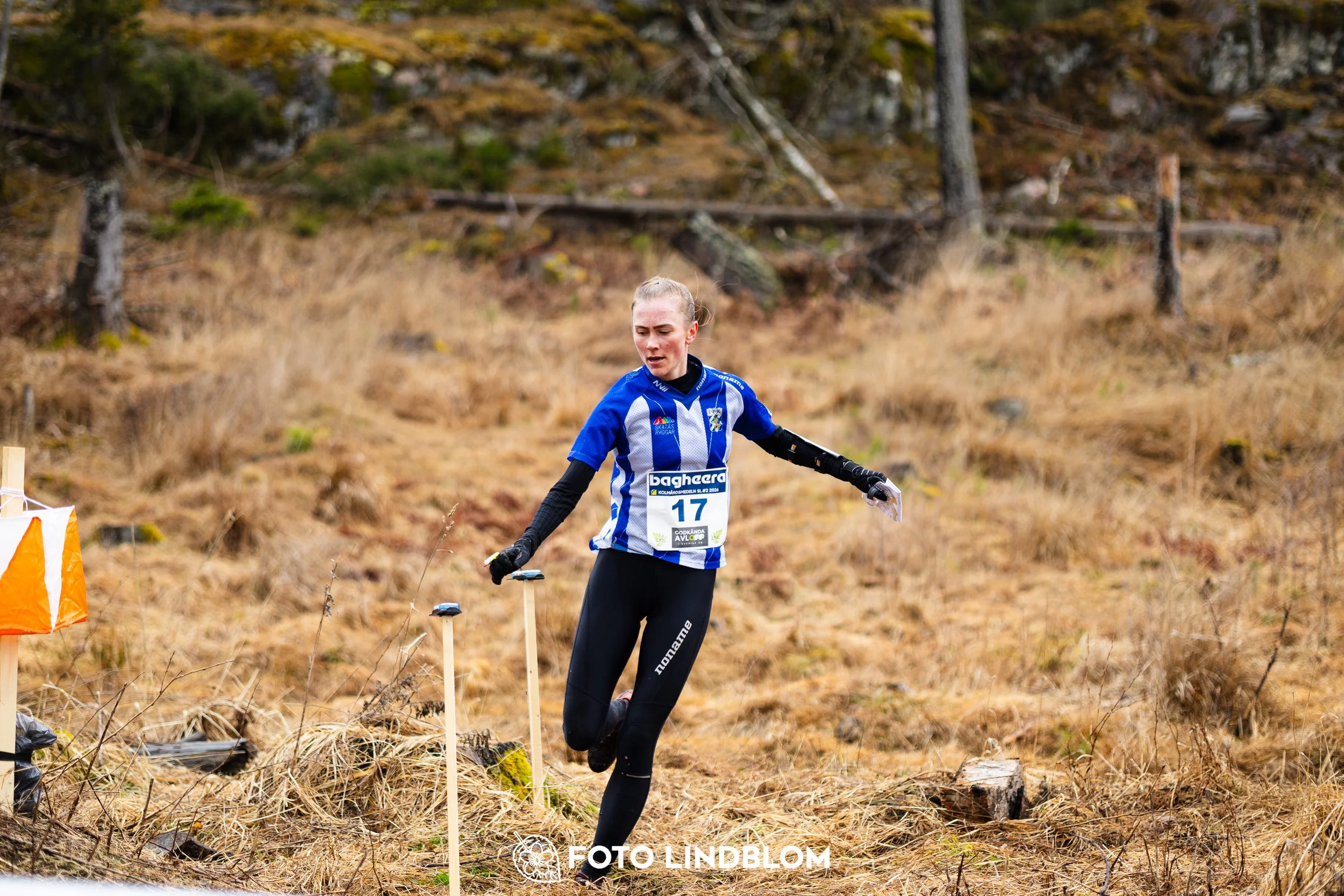 A moment from a middle distance orienteering race in Kolmården during the Swedish League 2026, captured by Foto Lindblom.