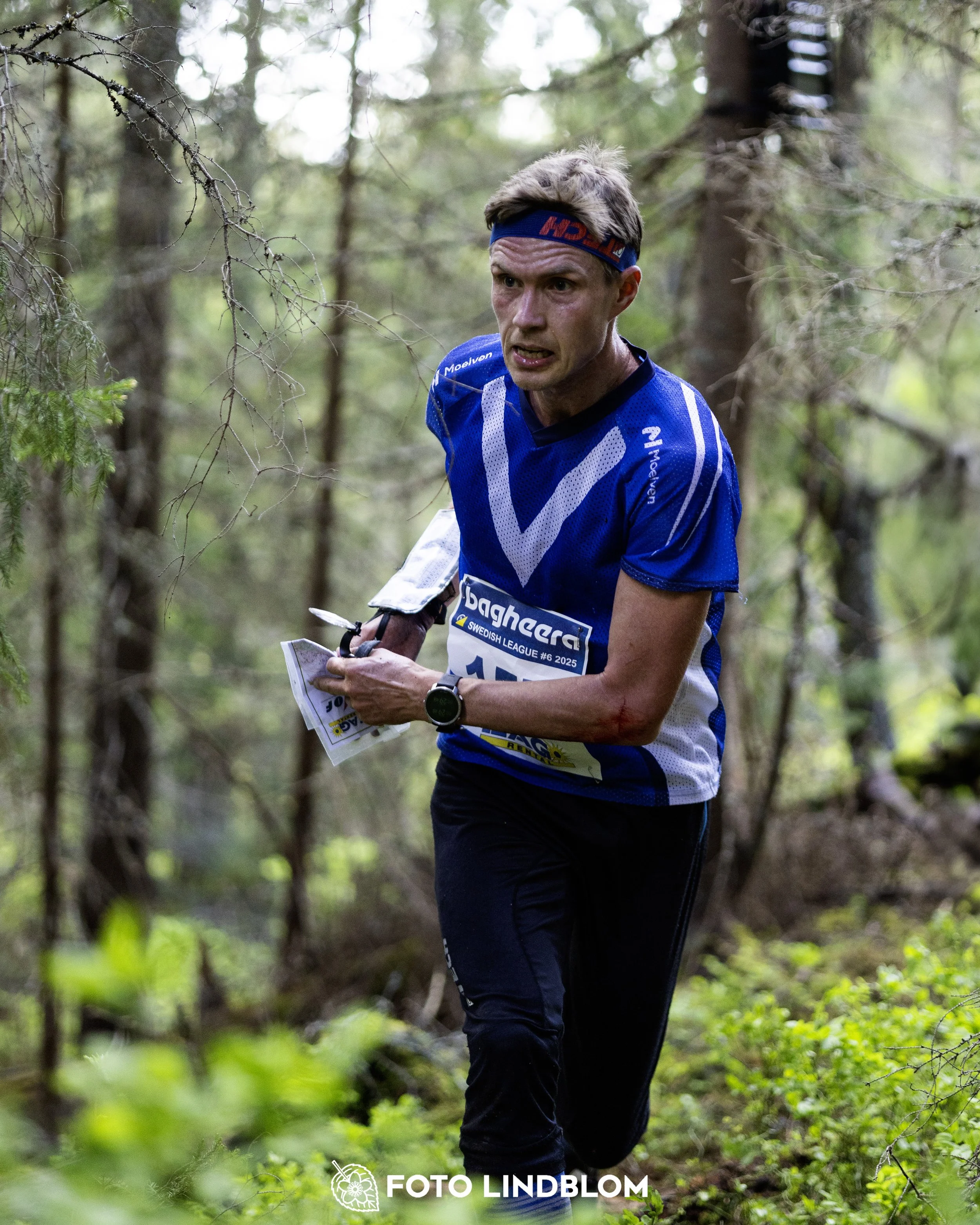 A picture from the sixth stage of the Swedish League orienteering competition