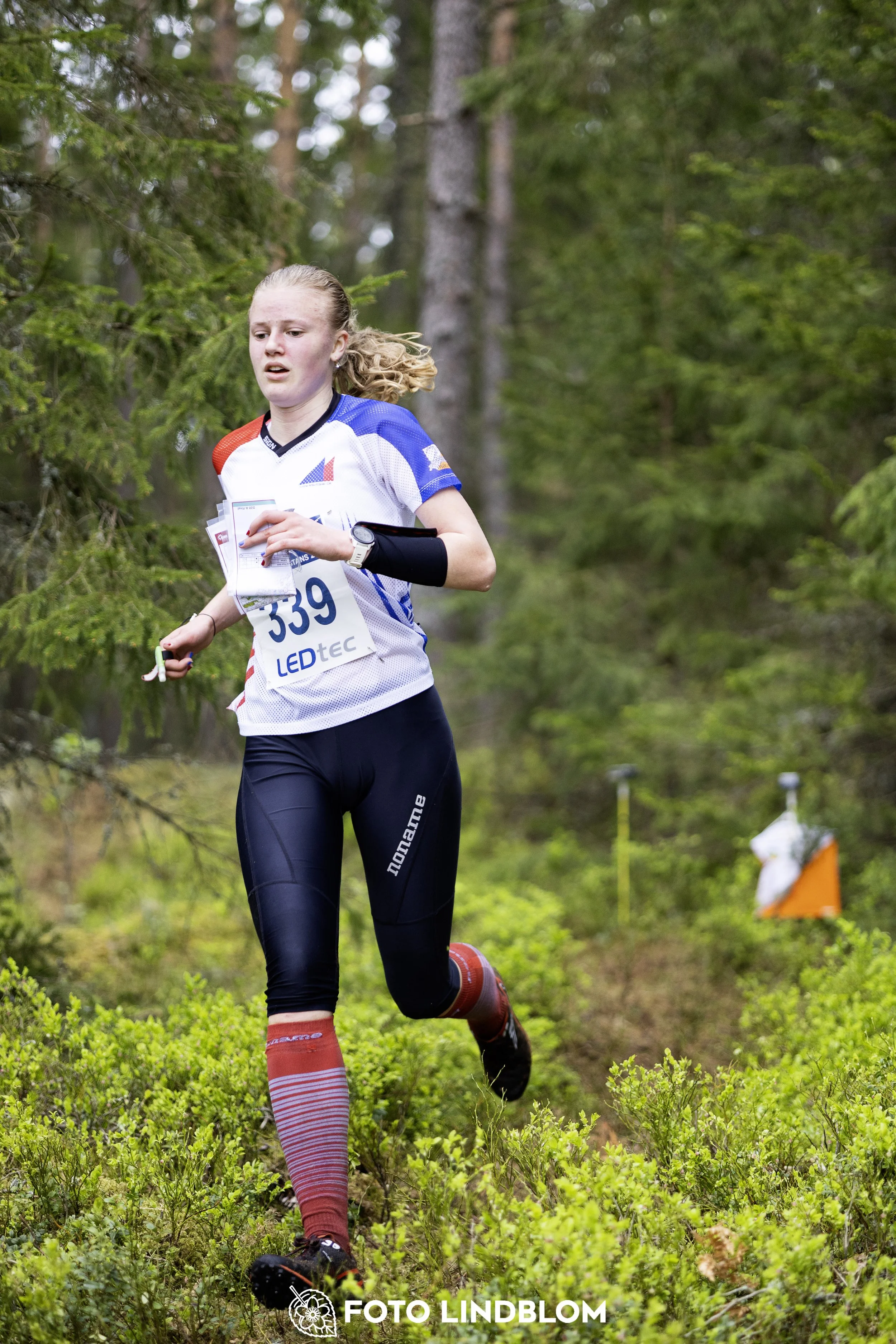 A picture from the Swedish national championship in middle distance orienteering and Swedish league race