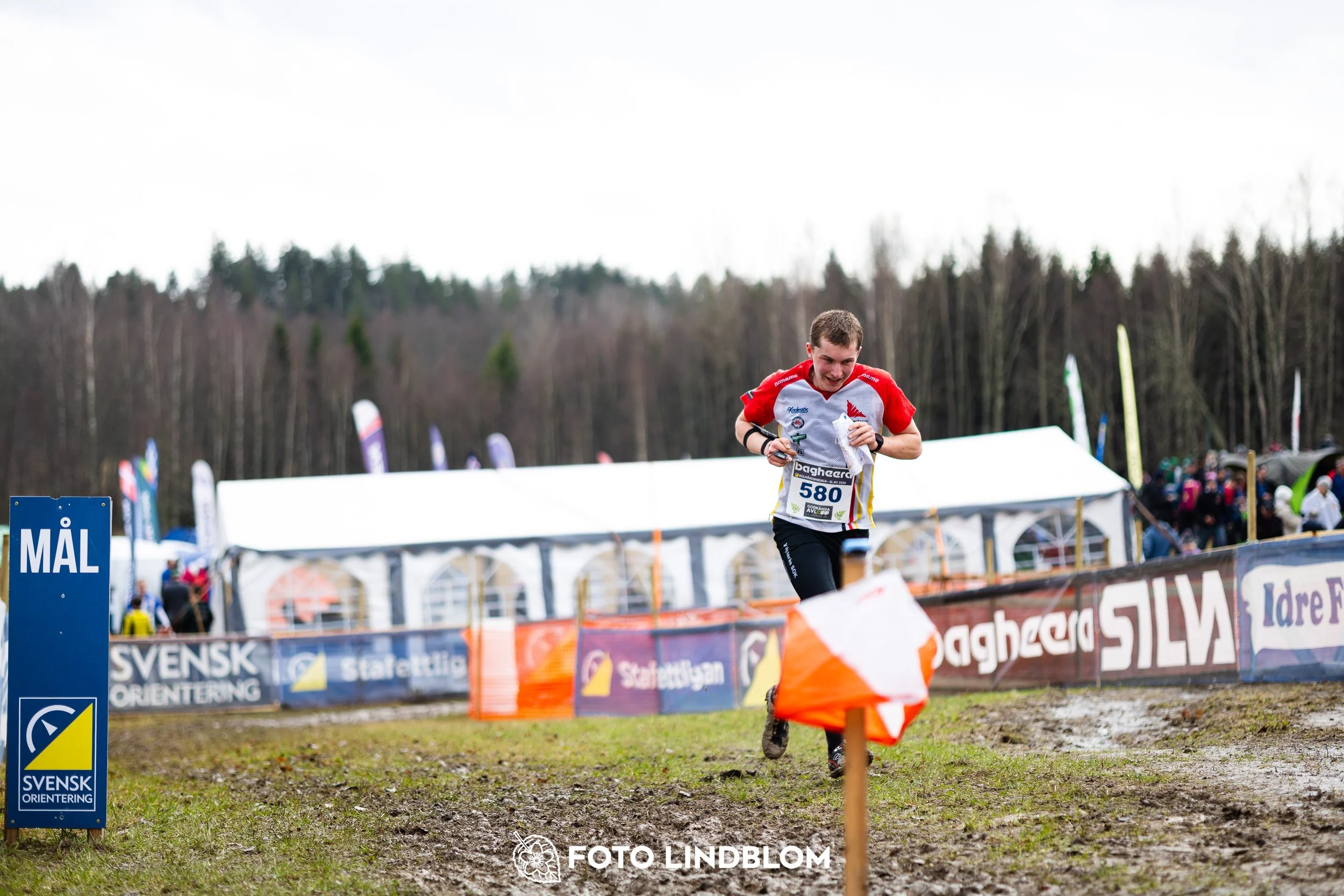 A moment from a middle distance orienteering race in Kolmården during the Swedish League 2026, captured by Foto Lindblom.