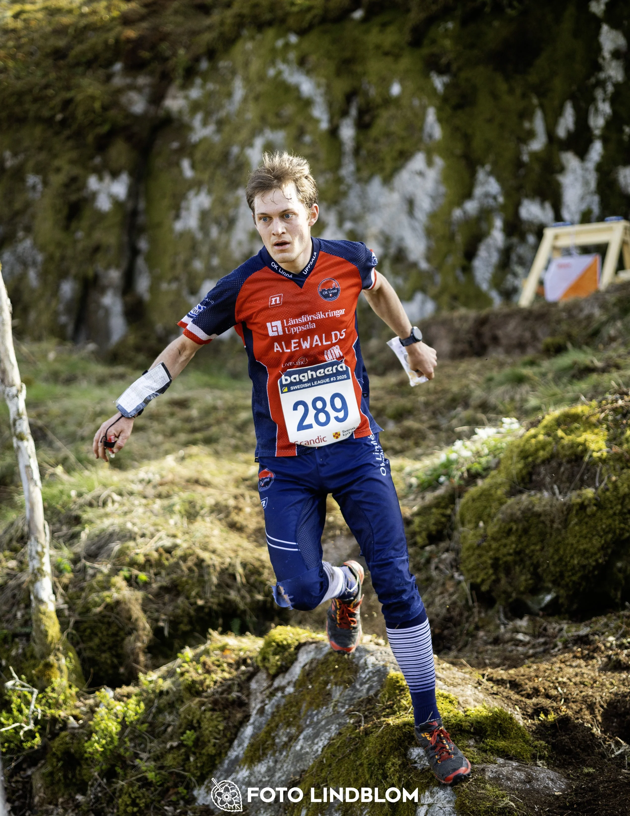 A picture from the third stage of the Swedish League orienteering competition