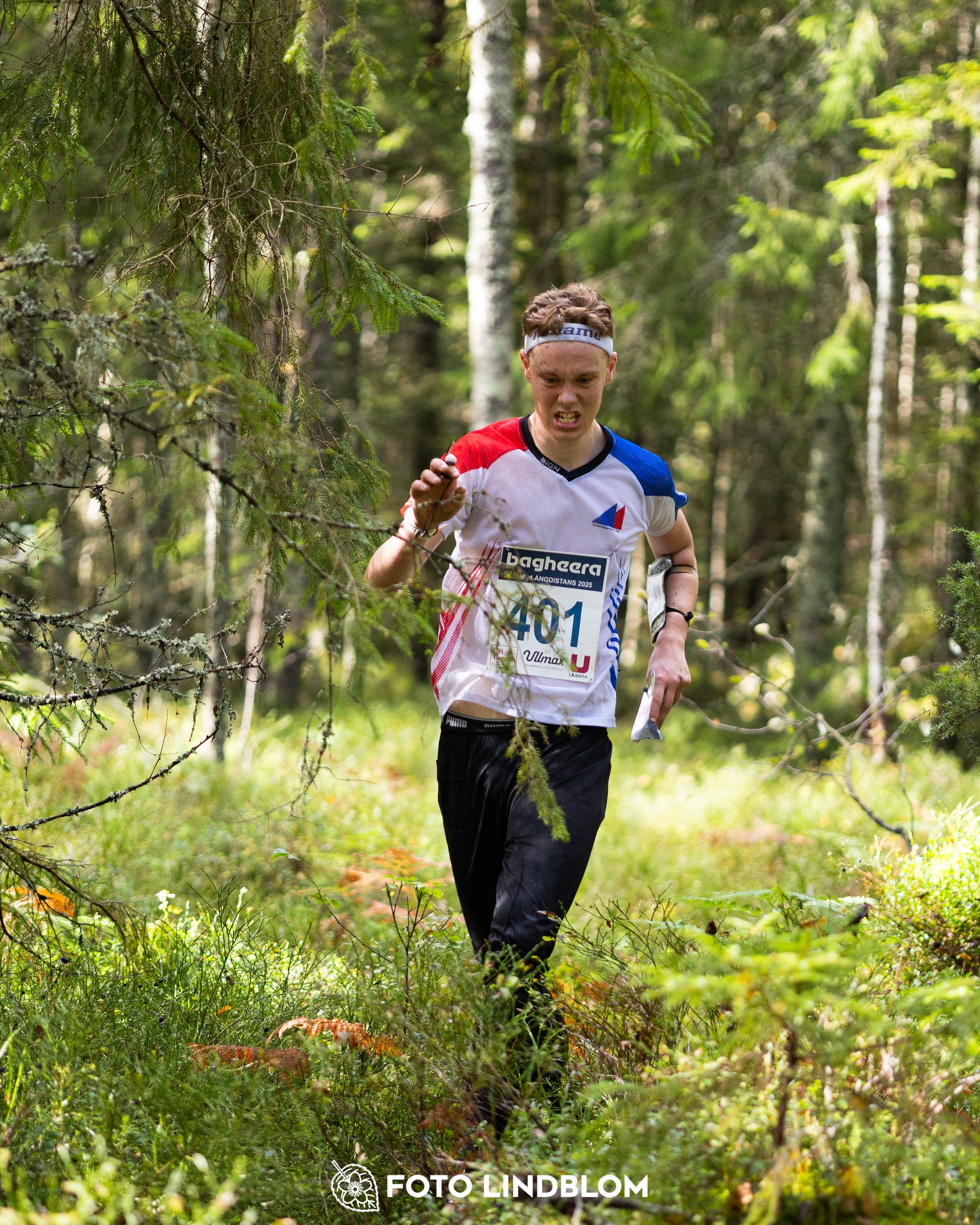 A picture from the Swedish national championship in long distance orienteering and Swedish league race taken by Foto Lindblom