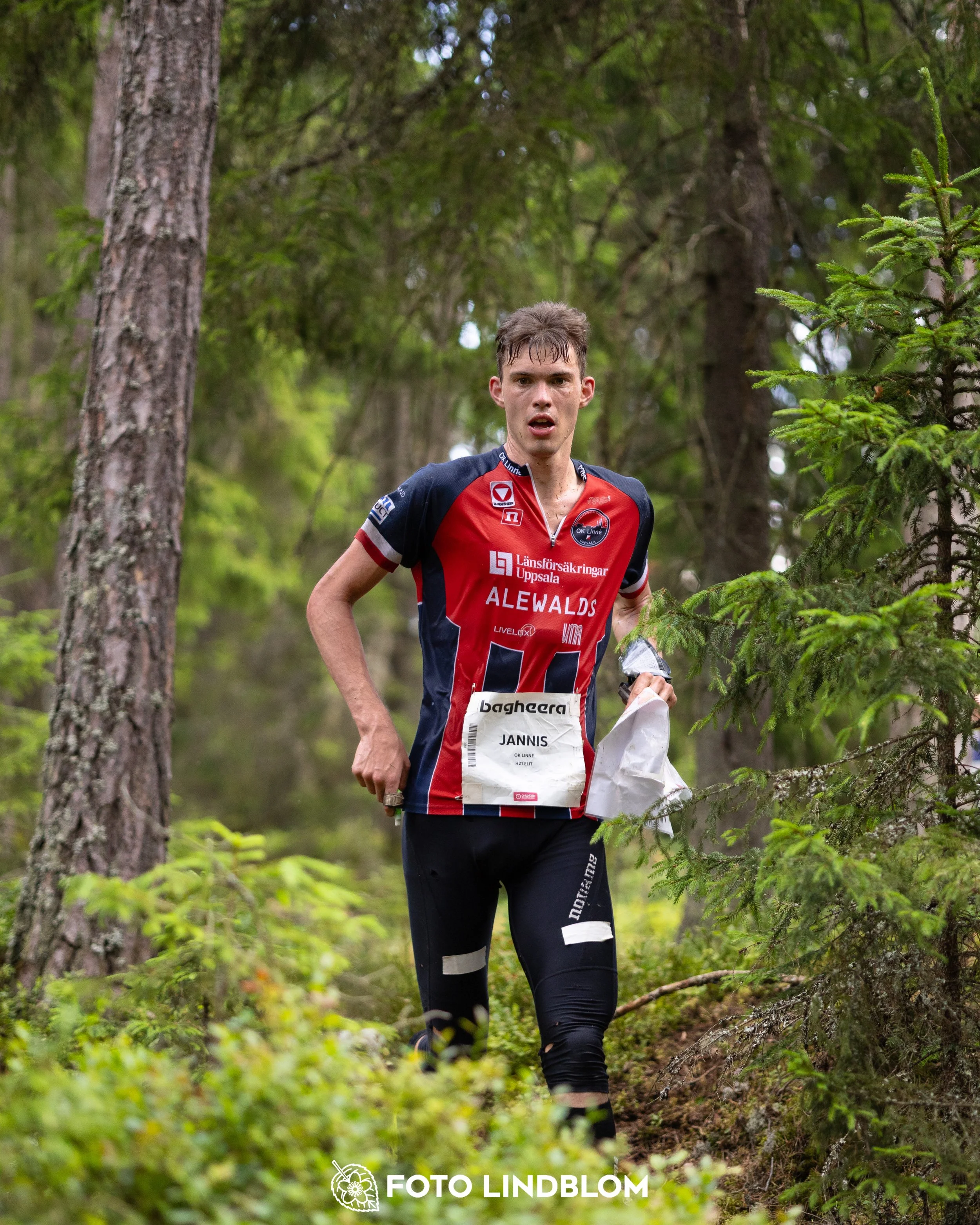 A picture from the second stage of Oringen 2025