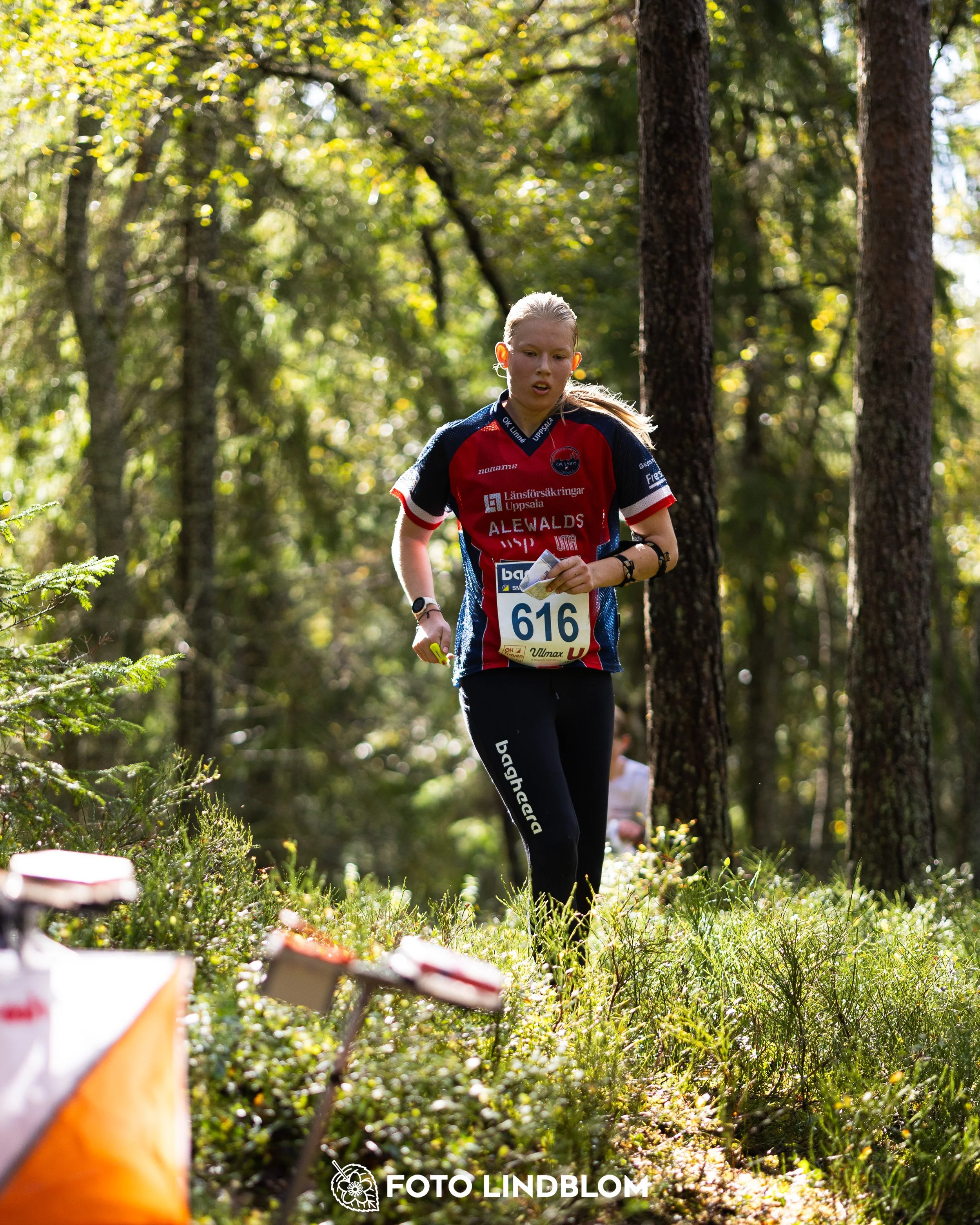 A picture from the Swedish national championship in long distance orienteering and Swedish league race taken by Foto Lindblom