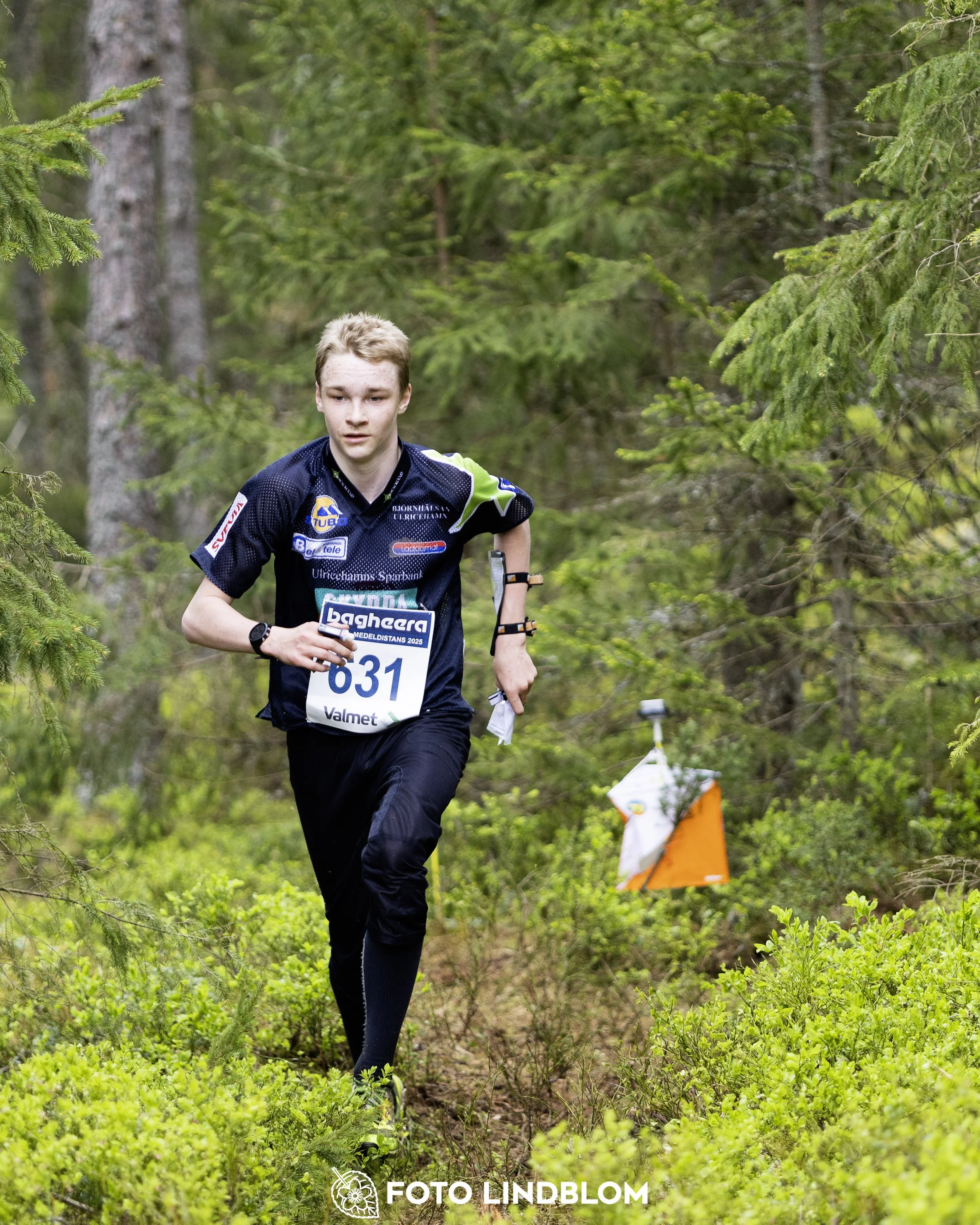 A picture from the Swedish national championship in middle distance orienteering and Swedish league race