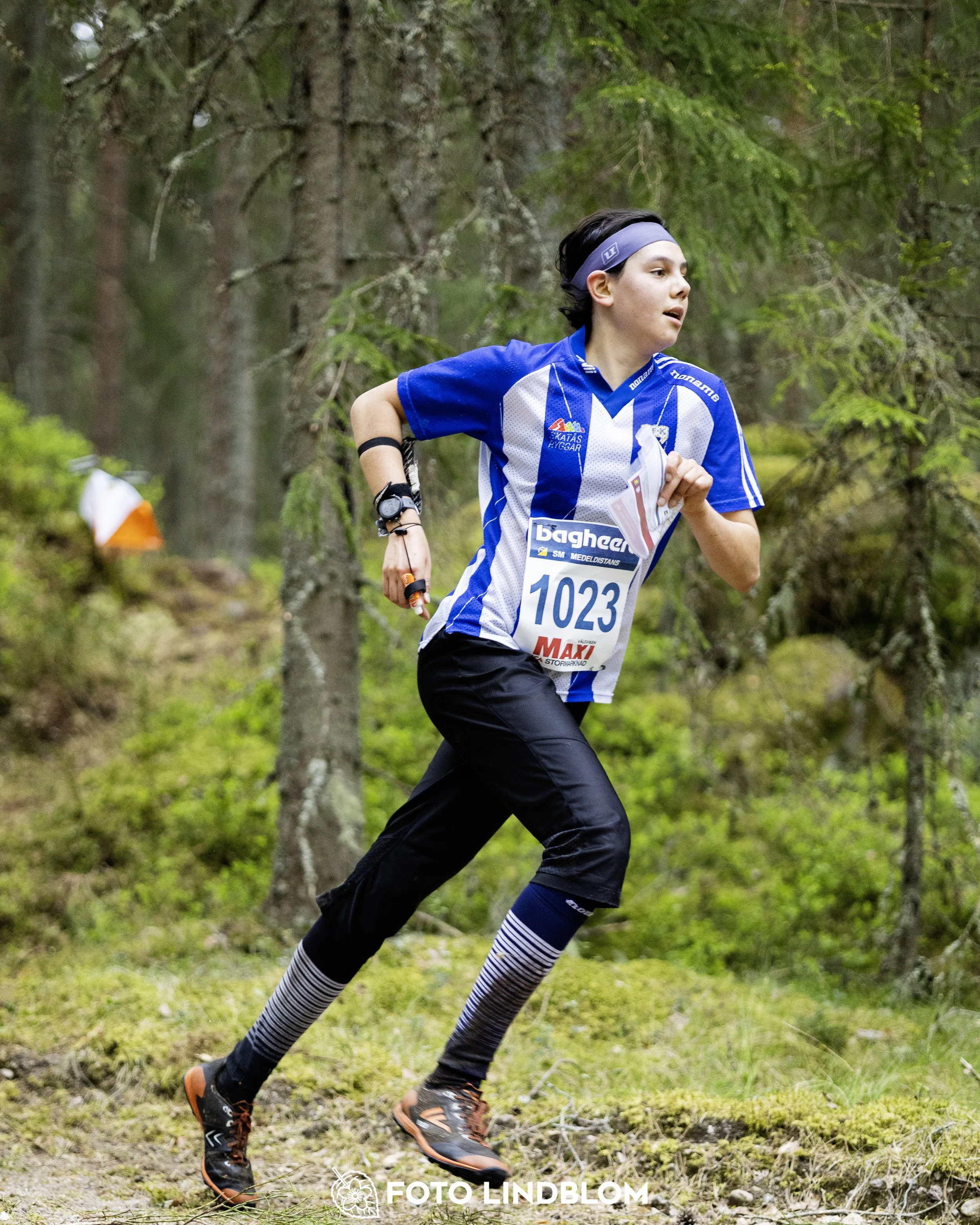 A picture from the Swedish national championship in middle distance orienteering and Swedish league race