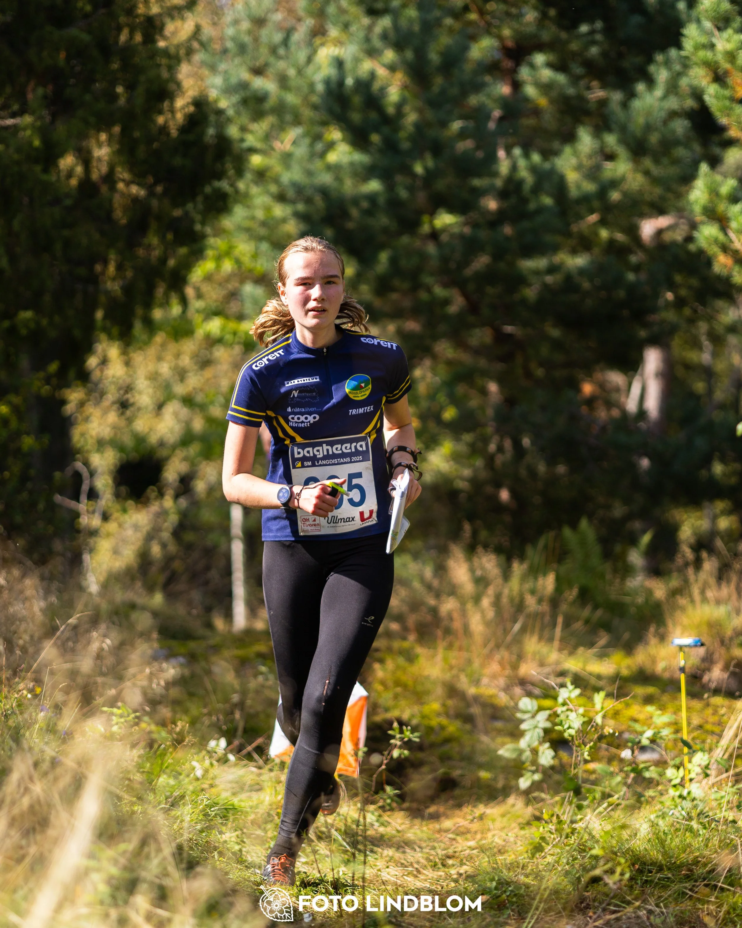 A picture from the Swedish national championship in long distance orienteering and Swedish league race taken by Foto Lindblom