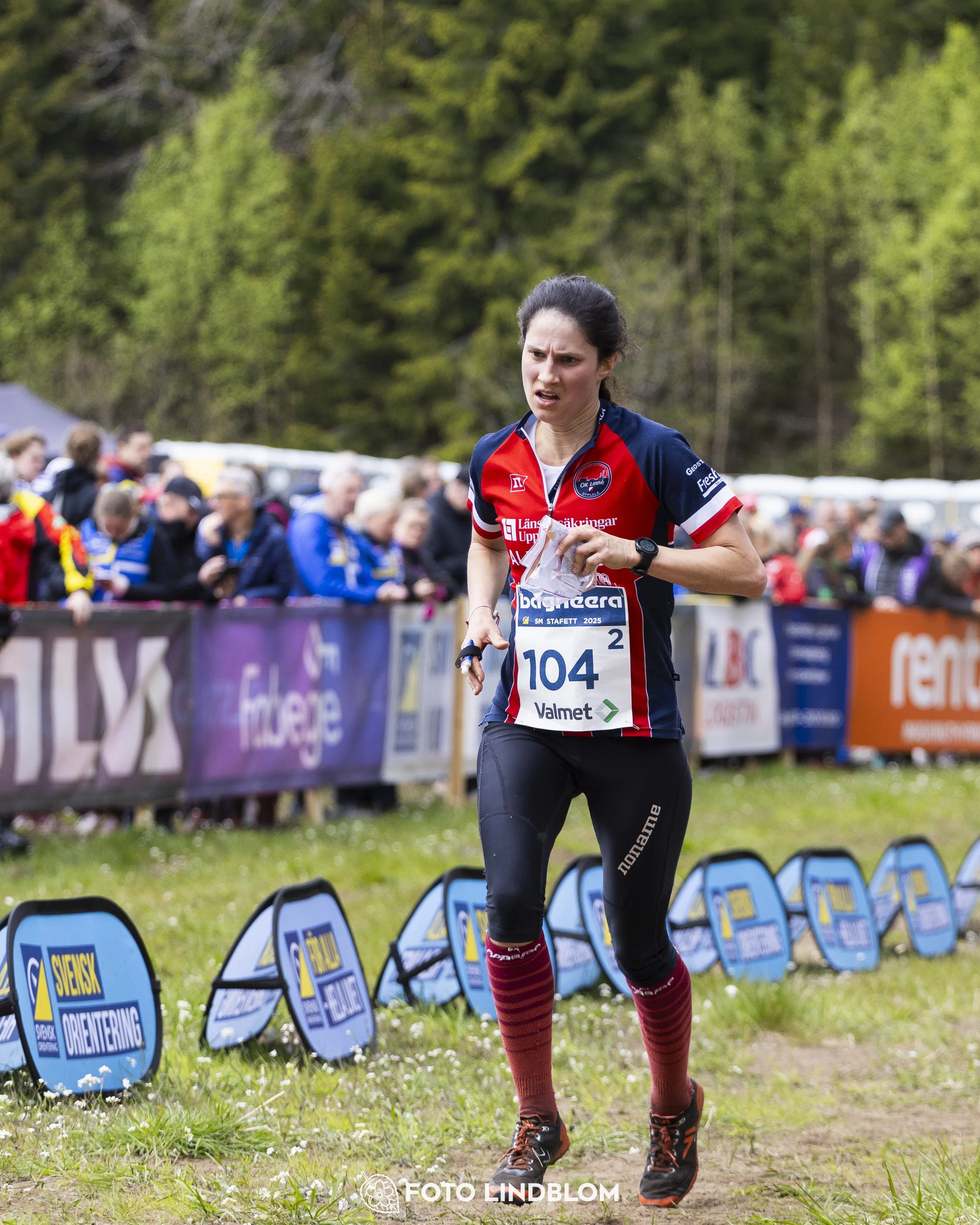 A picture from the Swedish national championship in relay orienteering