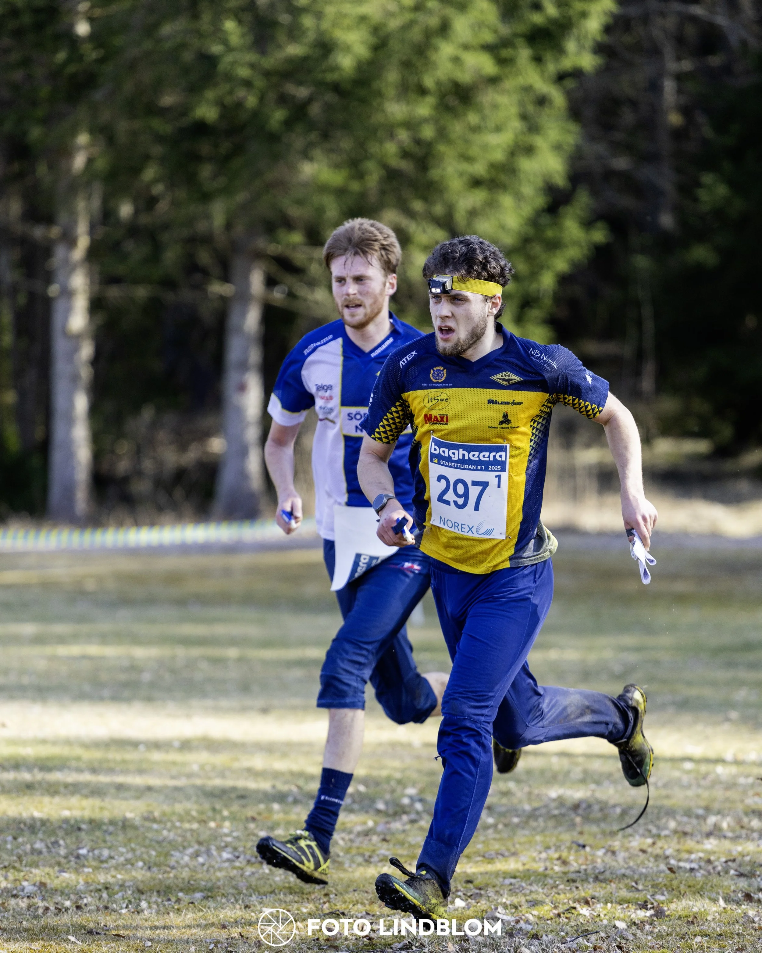 A picture from the orienteering relay competition "Måsen Staffeten"