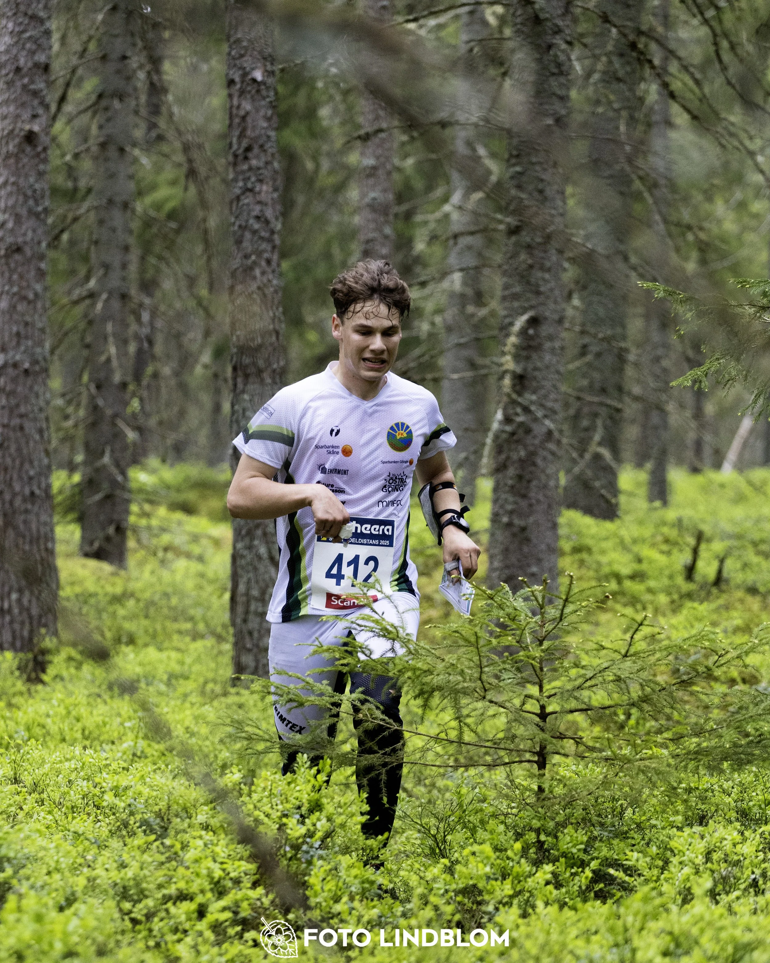 A picture from the Swedish national championship in middle distance orienteering and Swedish league race