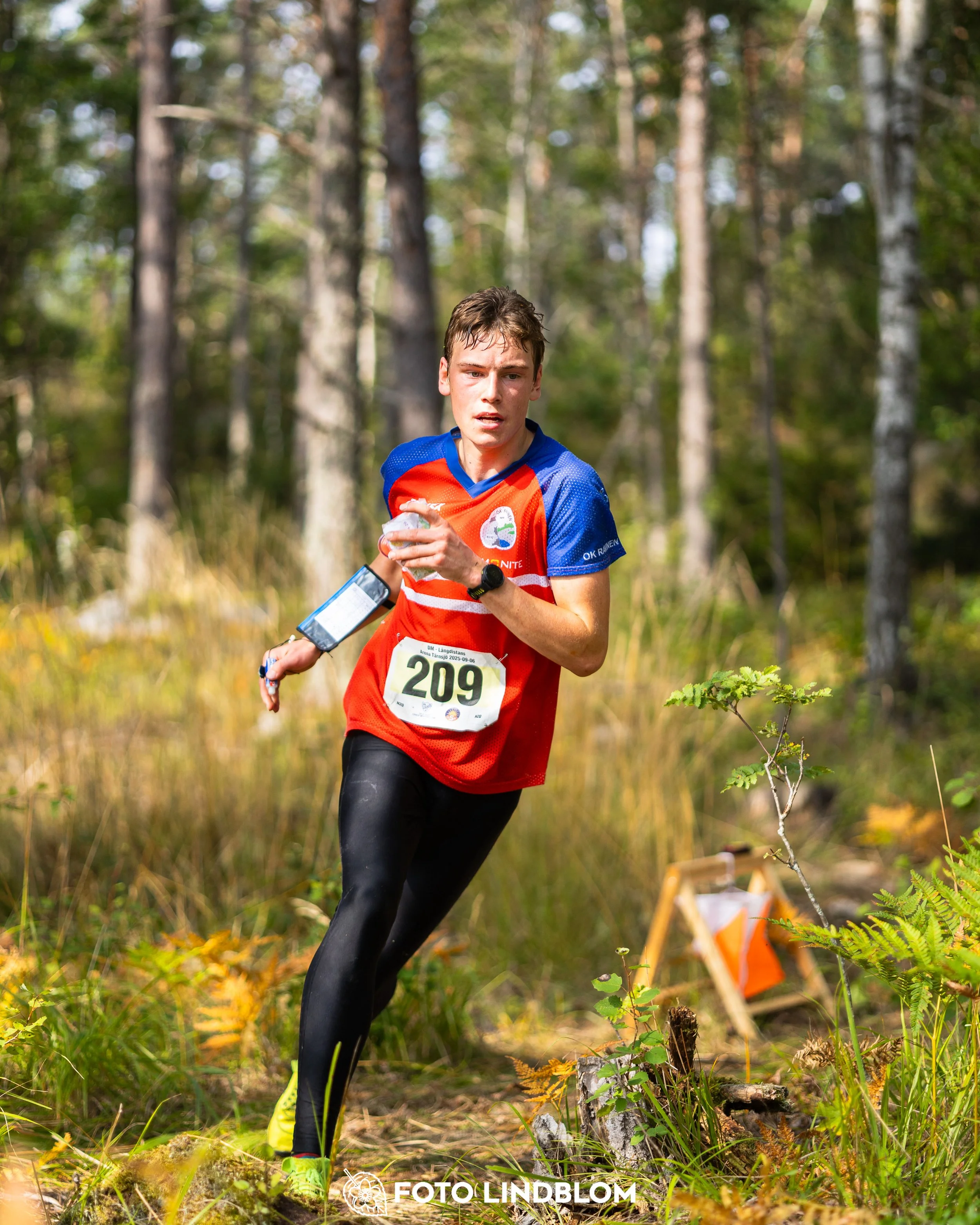 A picture from the Stockholm district championship in middle distance orienteering taken by Foto Lindblom