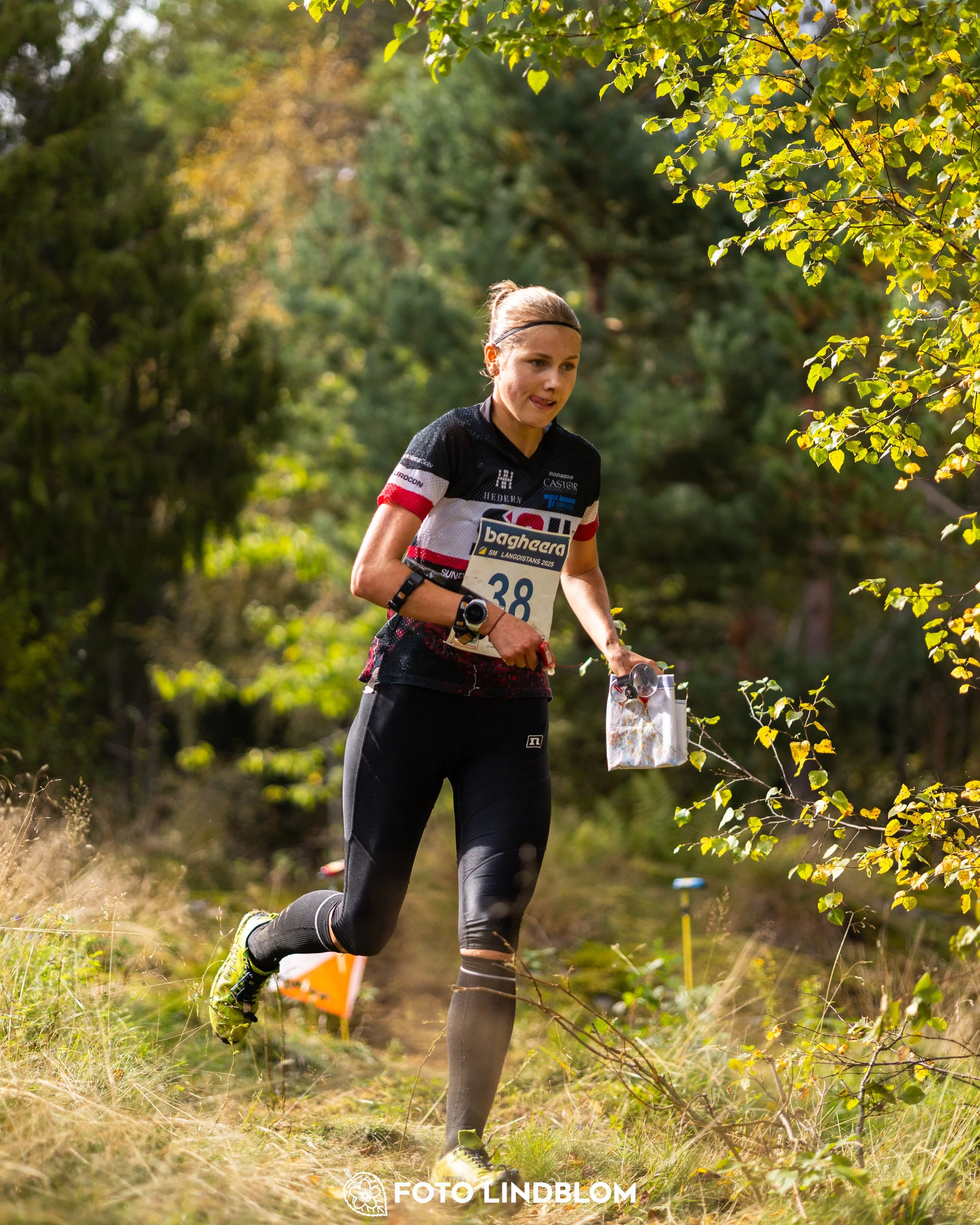 A picture from the Swedish national championship in long distance orienteering and Swedish league race taken by Foto Lindblom