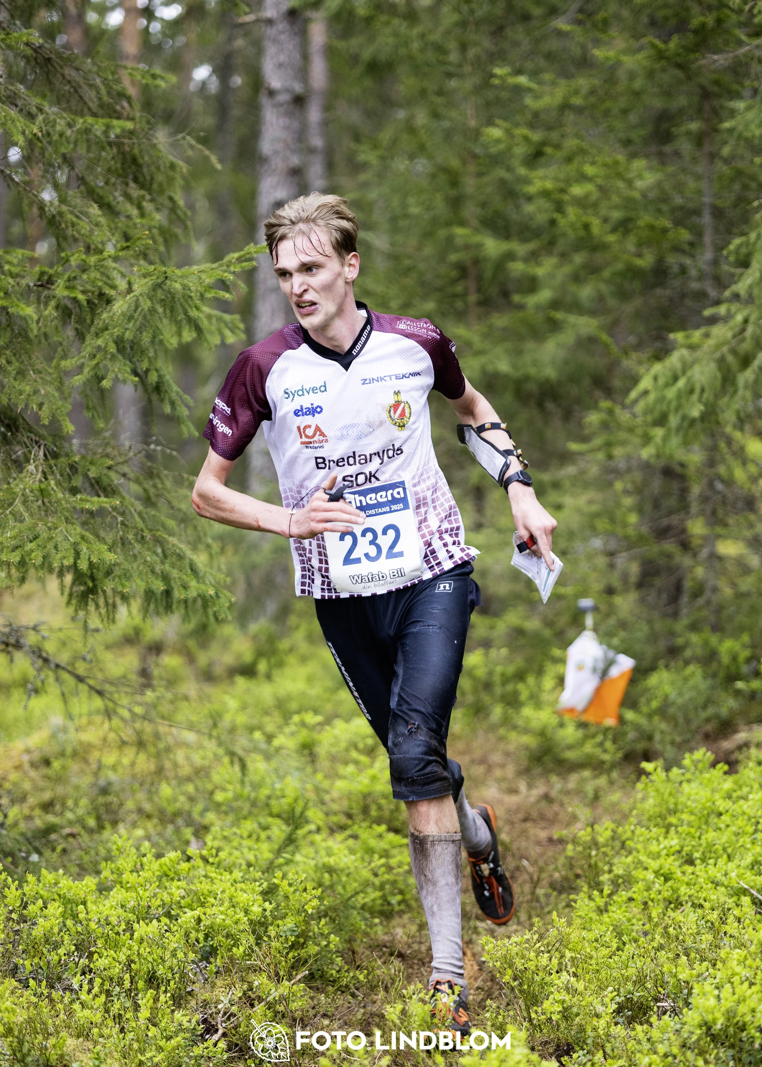A picture from the Swedish national championship in middle distance orienteering and Swedish league race