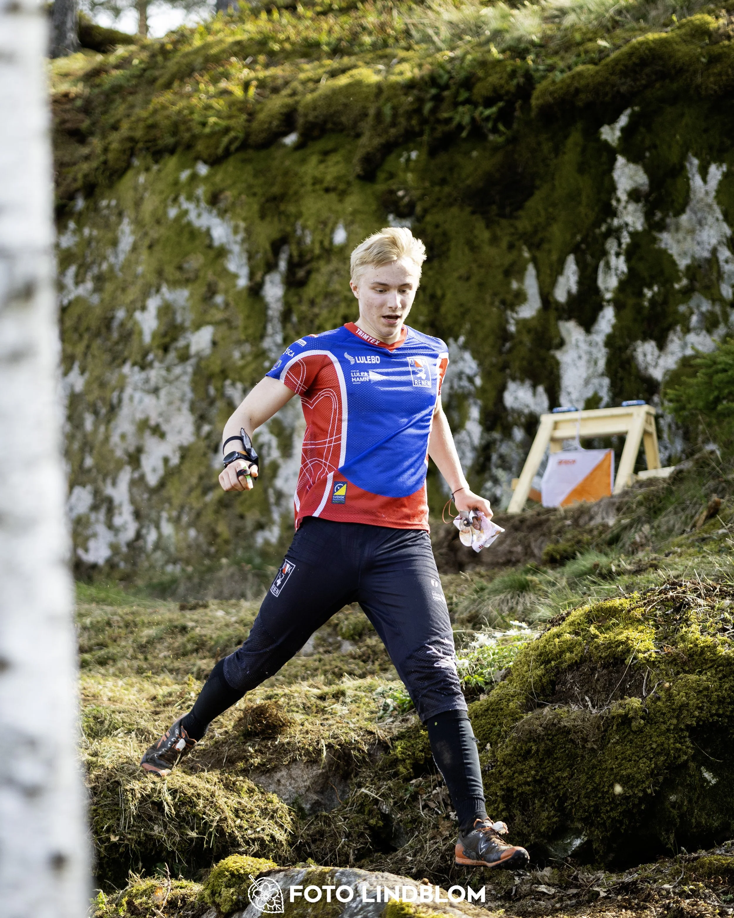 A picture from the third stage of the Swedish League orienteering competition