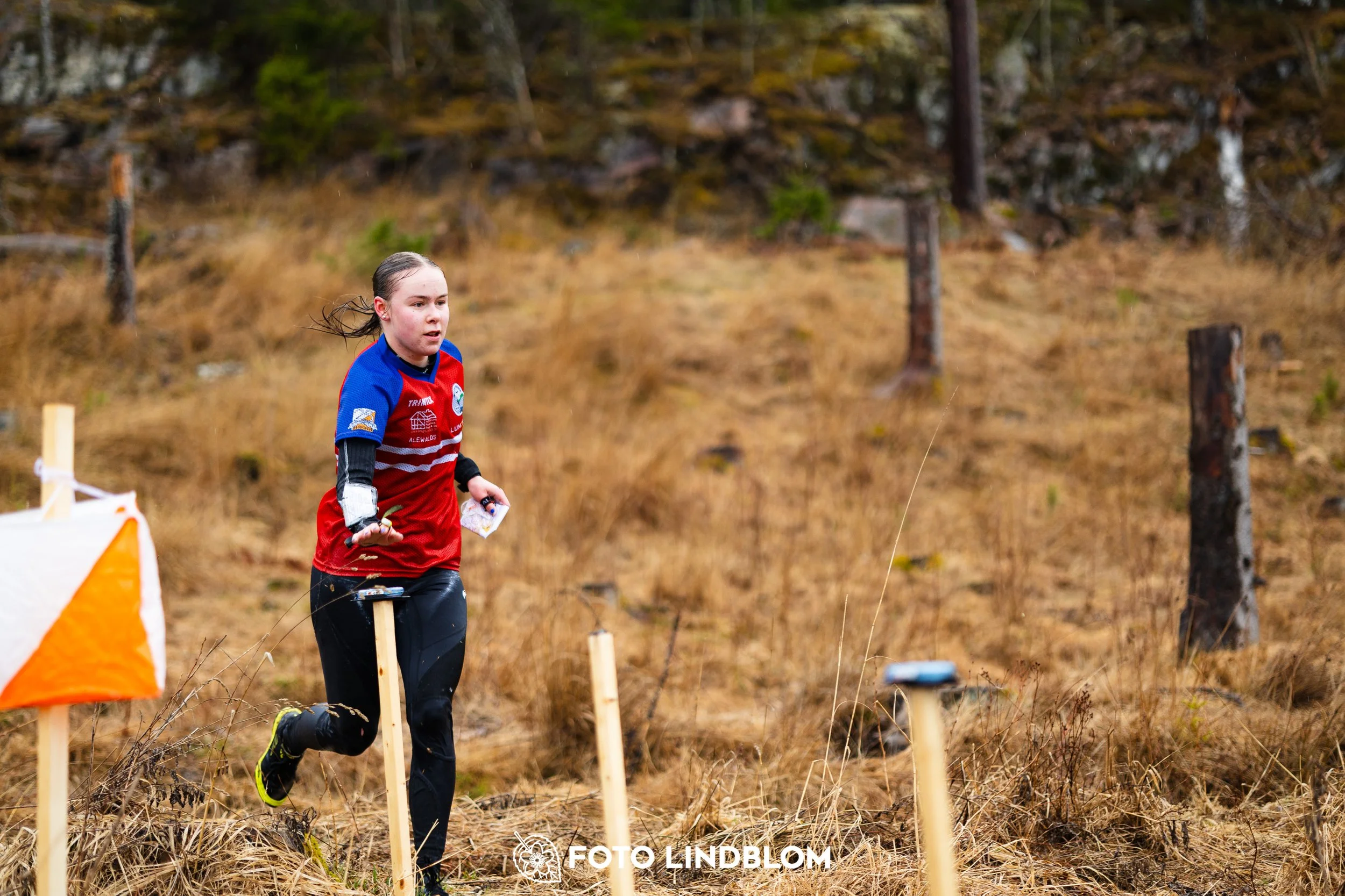 A photo from a forest orienteering competition in Kolmården as part of the Swedish League 2026 season, captured by Foto Lindblom.