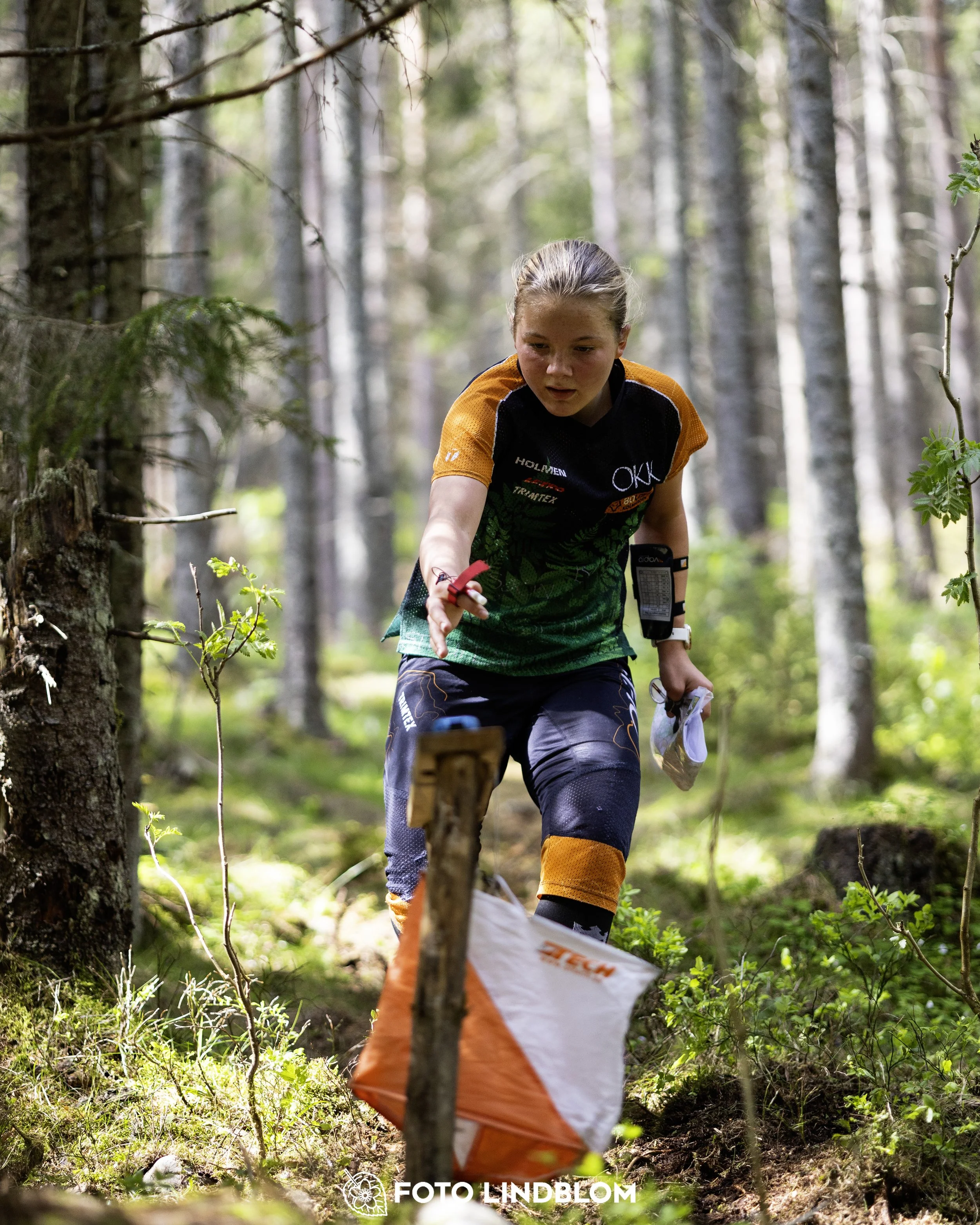 A picture from the seventh stage of the Swedish League orienteering competition