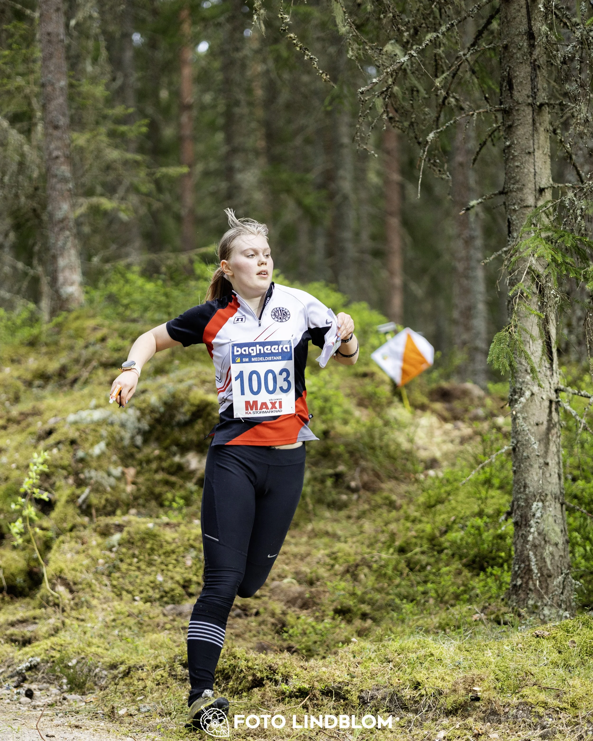 A picture from the Swedish national championship in middle distance orienteering and Swedish league race