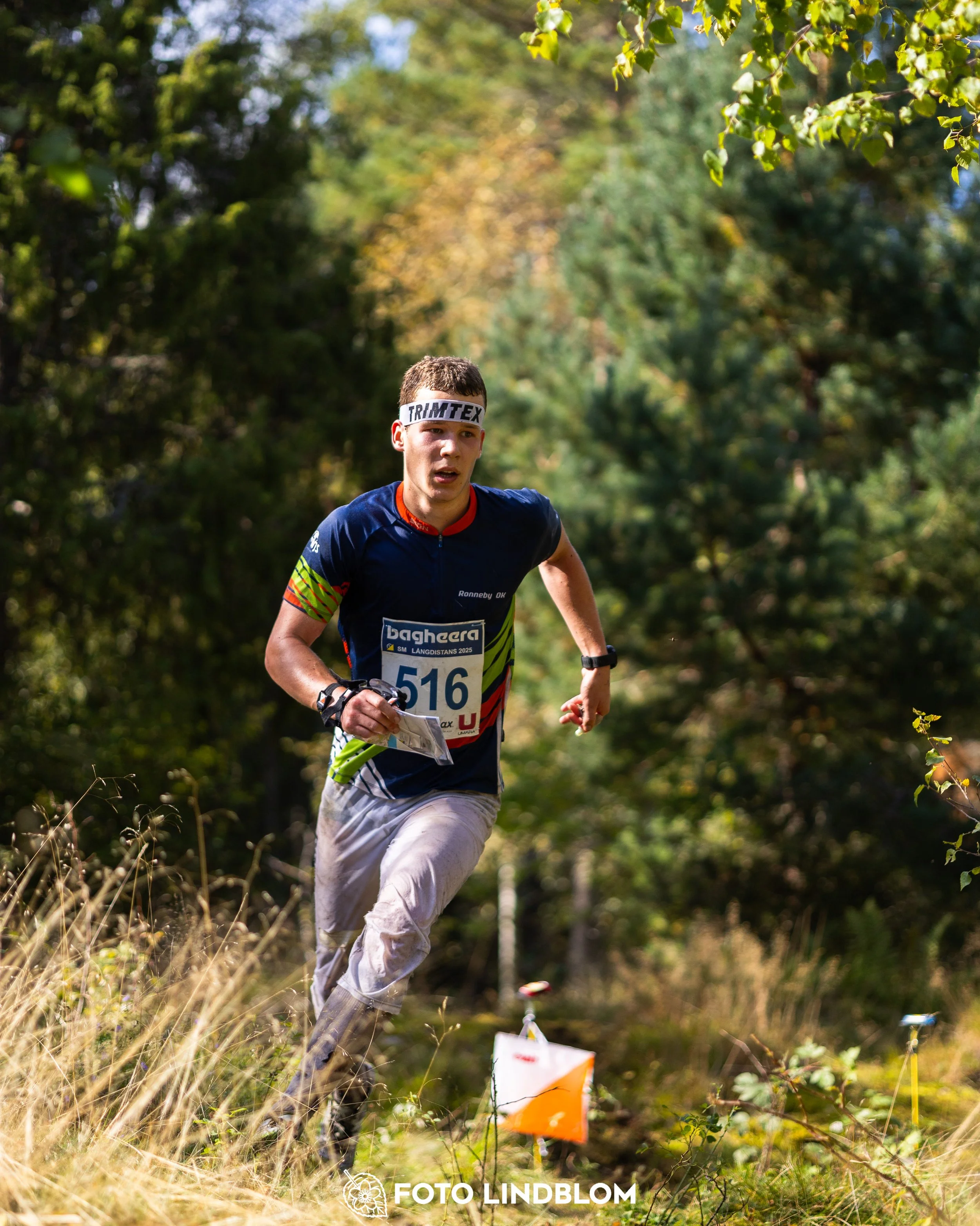 A picture from the Swedish national championship in long distance orienteering and Swedish league race taken by Foto Lindblom