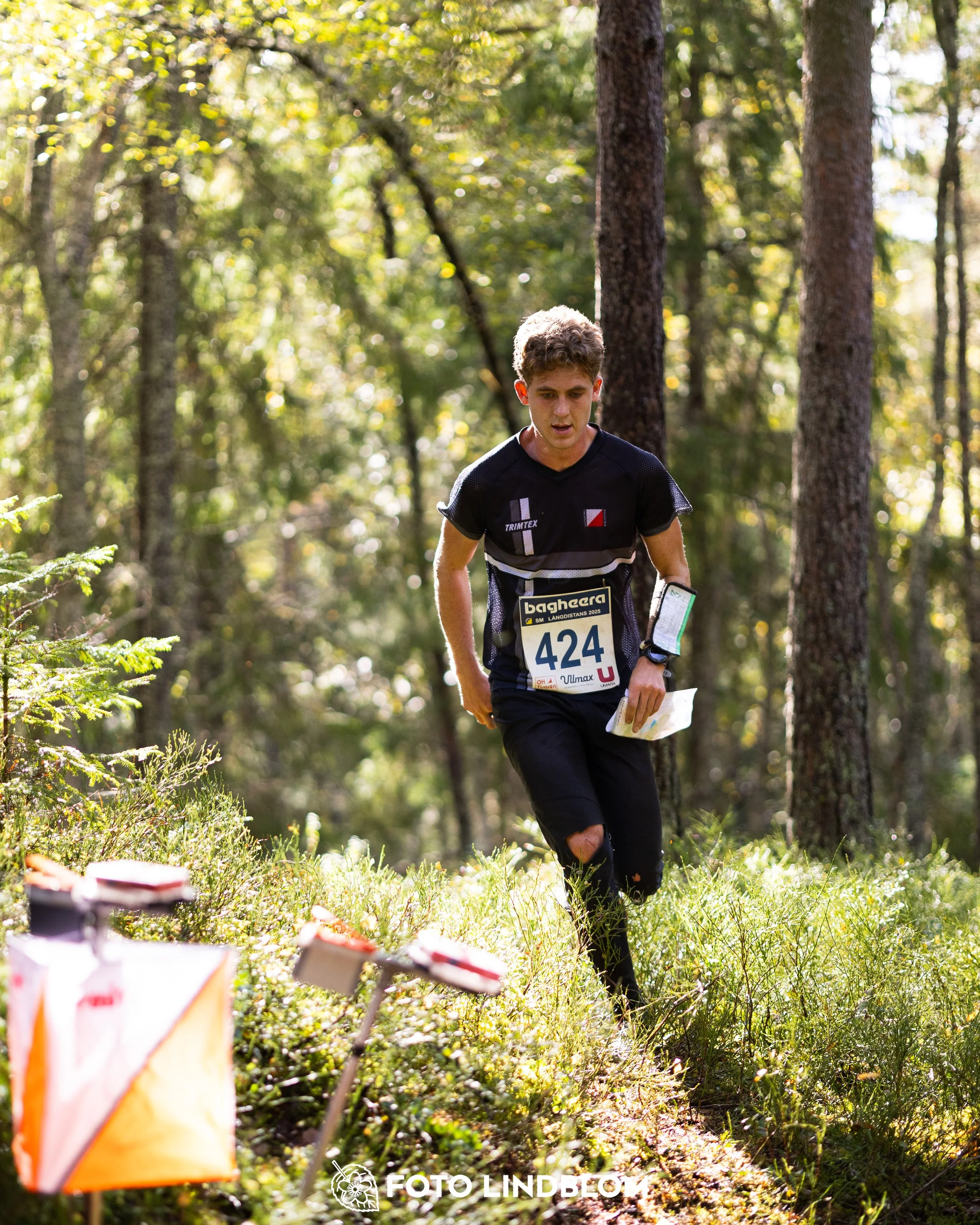 A picture from the Swedish national championship in long distance orienteering and Swedish league race taken by Foto Lindblom