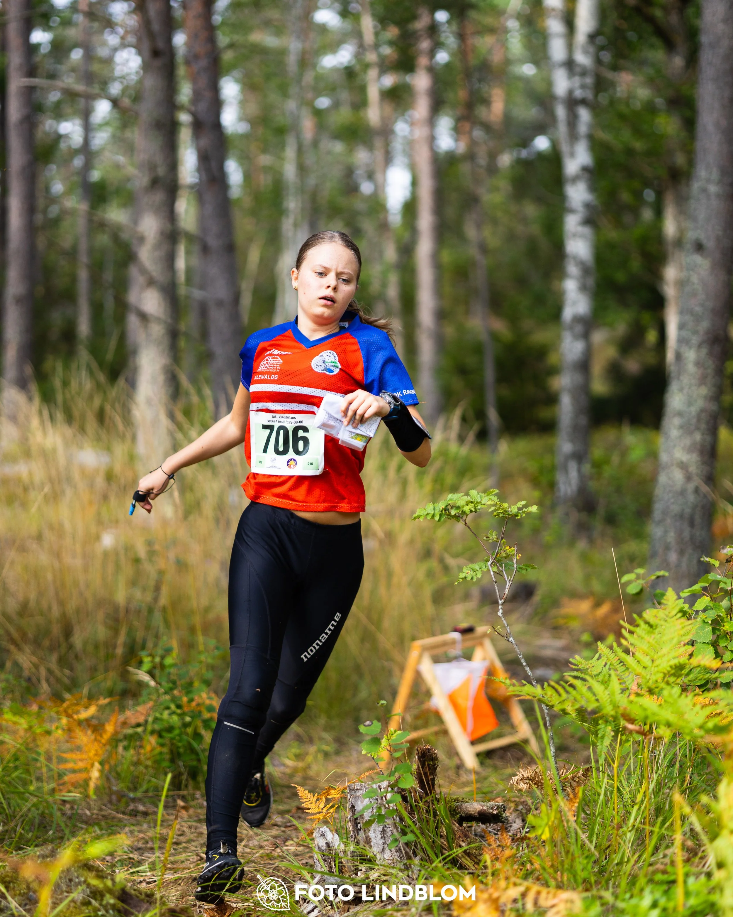 A picture from the Stockholm district championship in middle distance orienteering taken by Foto Lindblom