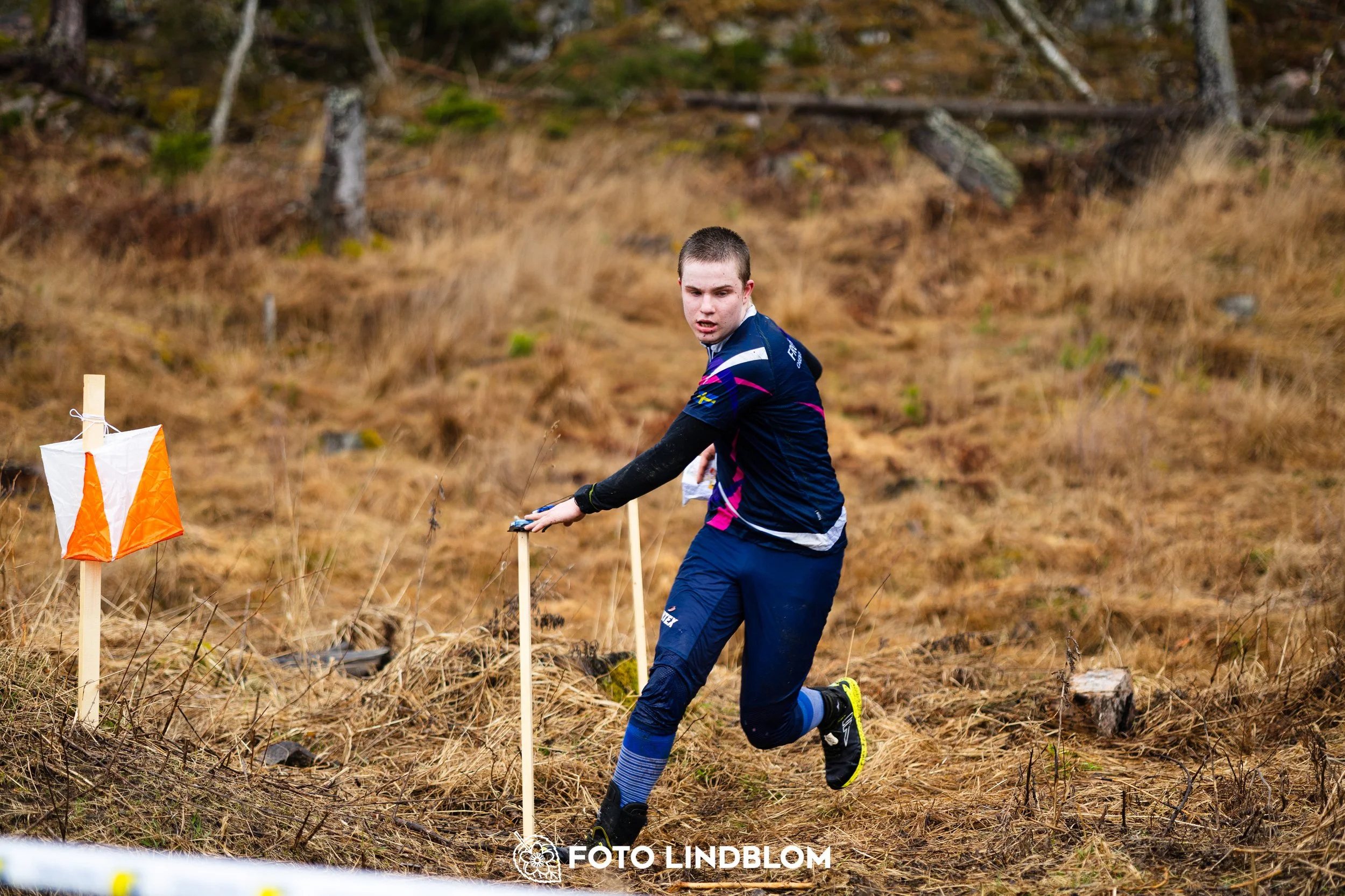 A photo from a forest orienteering competition in Kolmården as part of the Swedish League 2026 season, captured by Foto Lindblom.