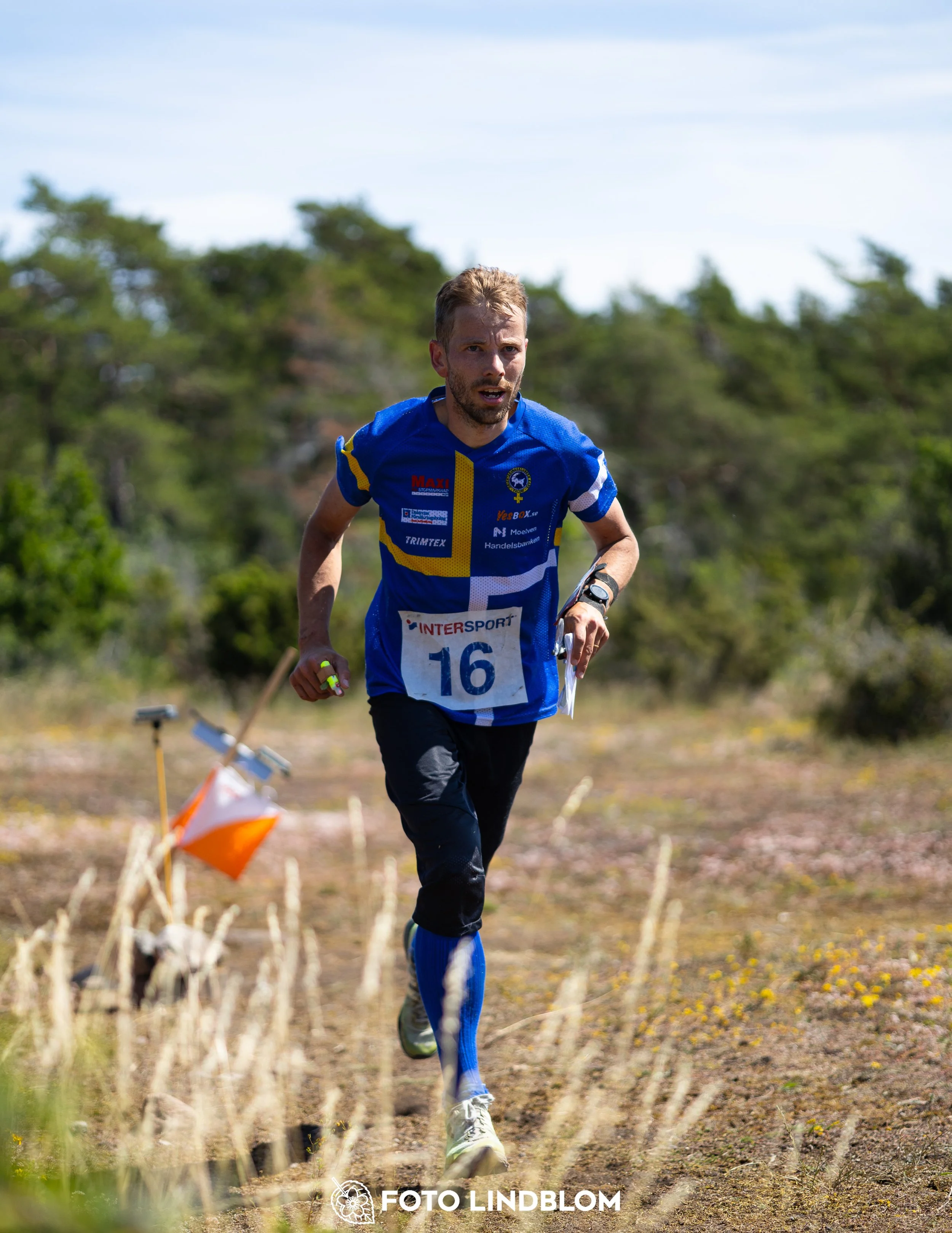 A picture from the Gotlands 3-Dagars orienteering competition