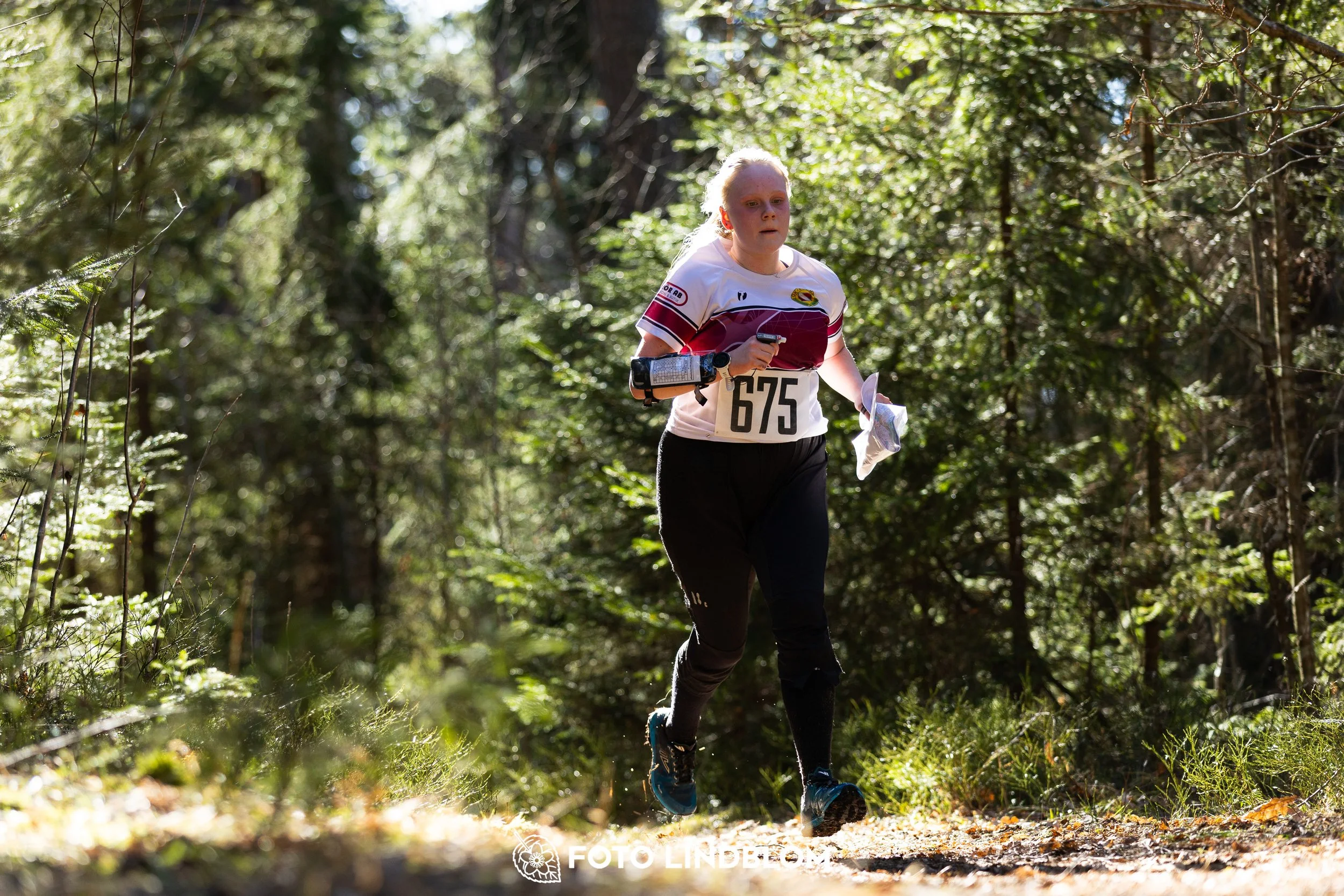 Orienteering in forest terrain at Nyköpingsorienteringen 2026, photographed by Foto Lindblom.