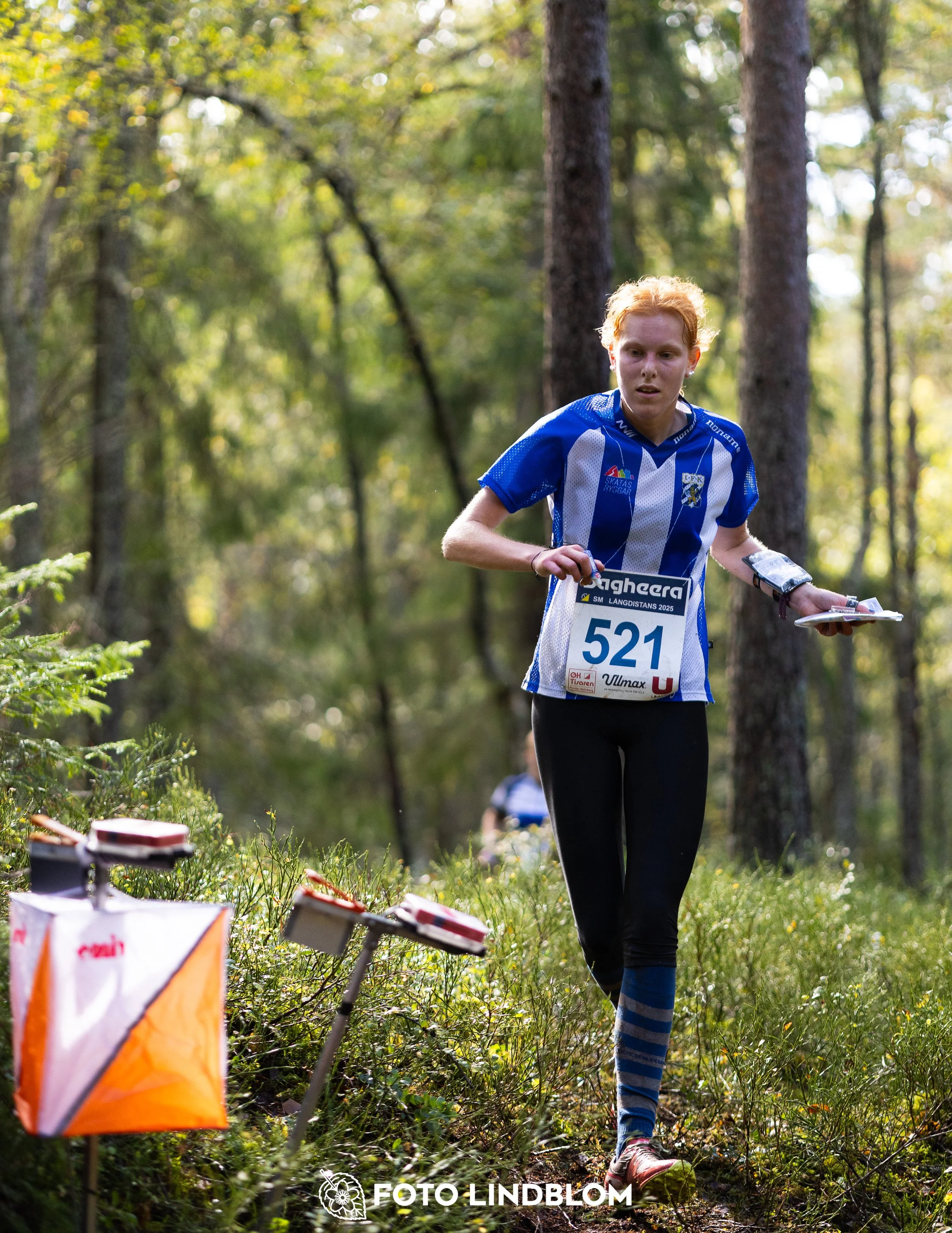 A picture from the Swedish national championship in long distance orienteering and Swedish league race taken by Foto Lindblom