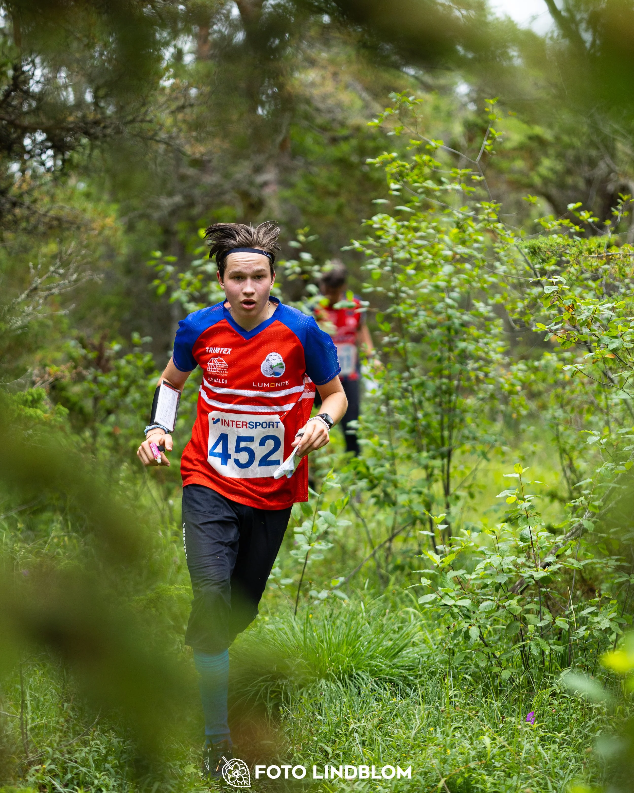 A picture from the Gotlands 3-Dagars orienteering competition