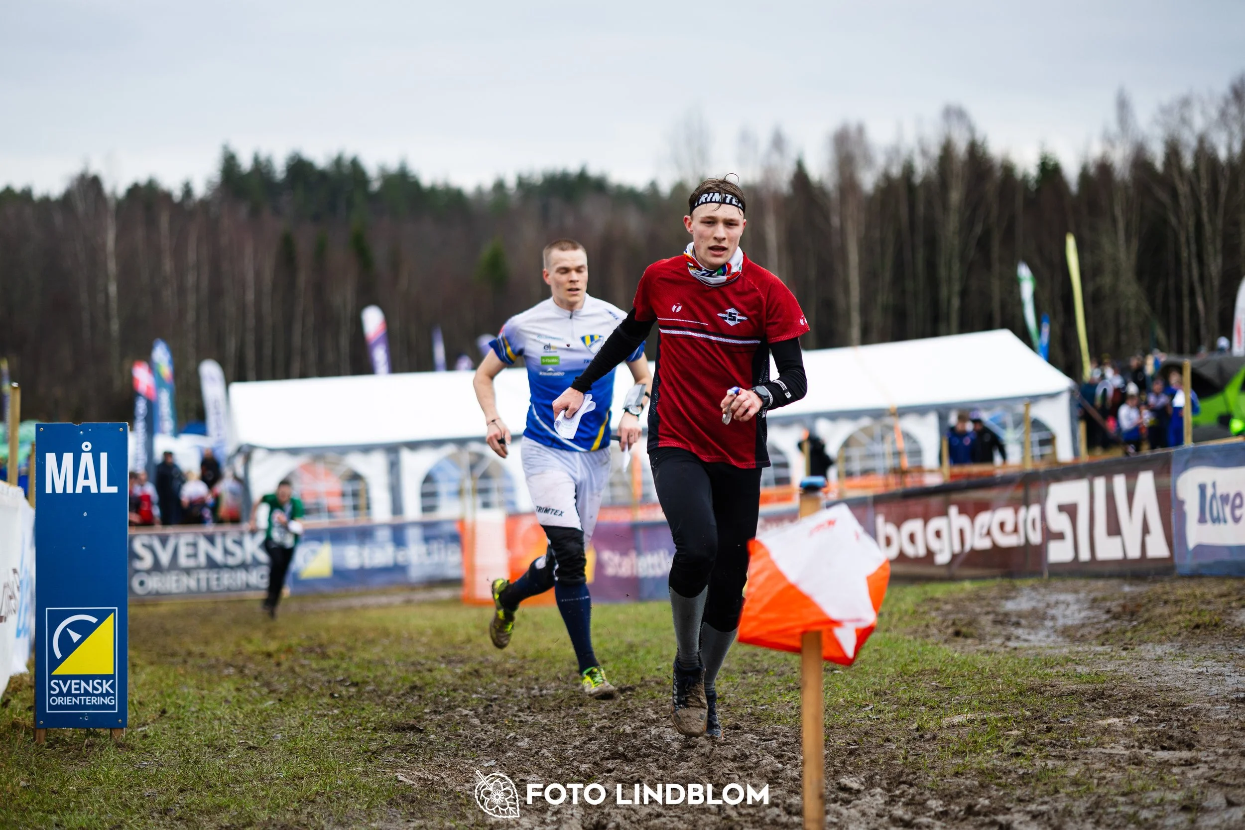A photo from a forest orienteering competition in Kolmården as part of the Swedish League 2026 season, captured by Foto Lindblom.