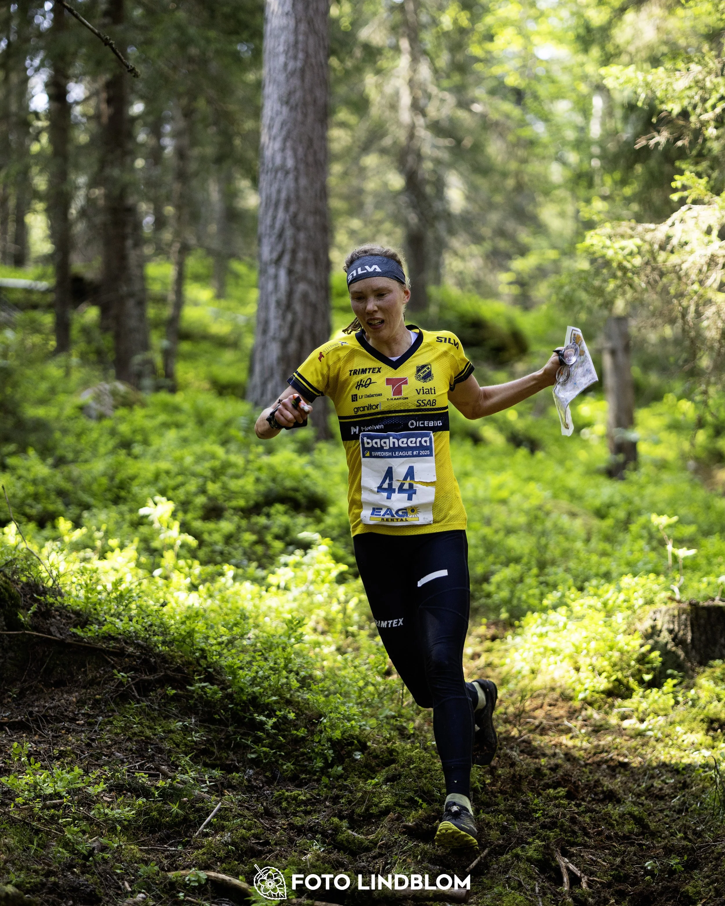 A picture from the seventh stage of the Swedish League orienteering competition