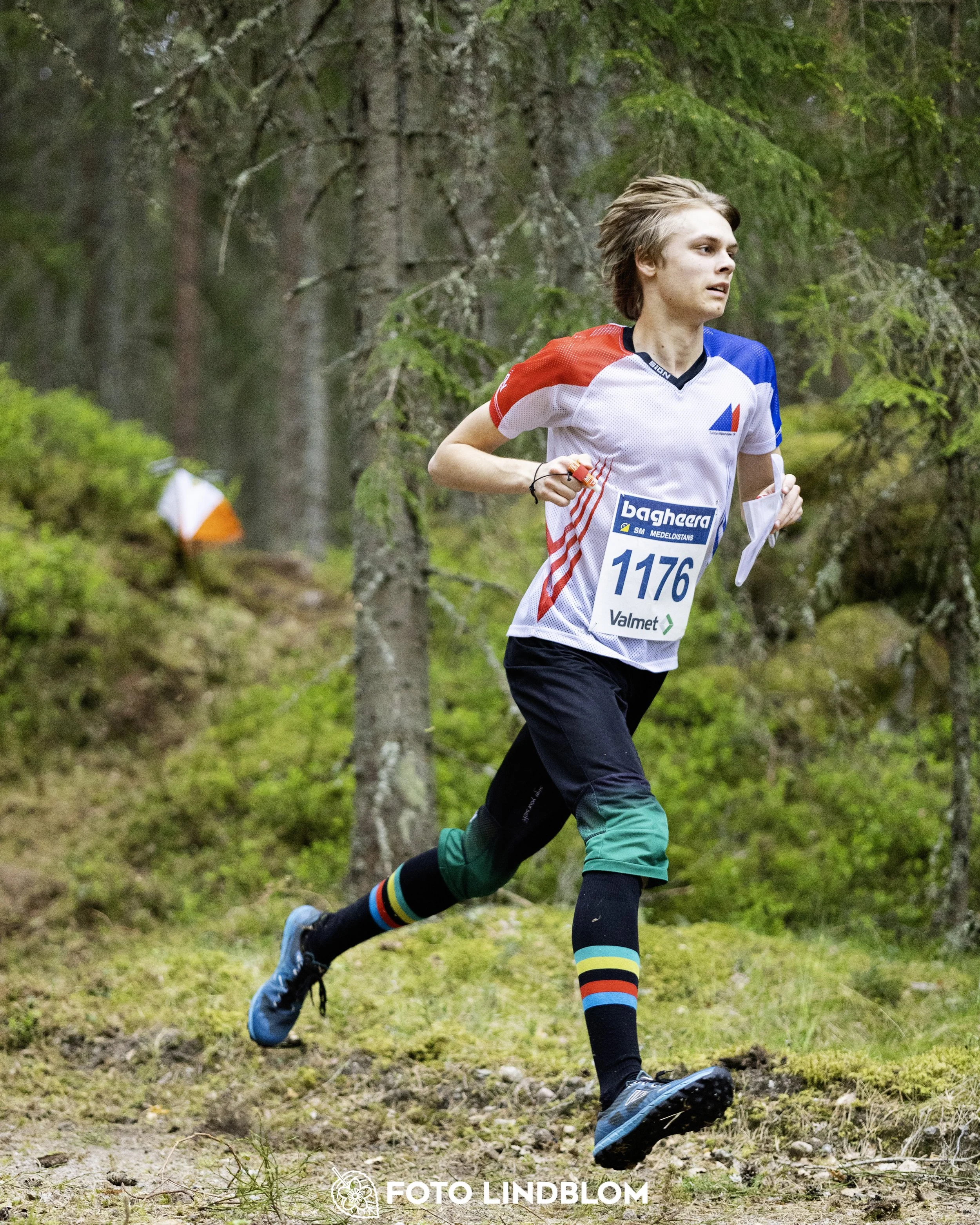 A picture from the Swedish national championship in middle distance orienteering and Swedish league race
