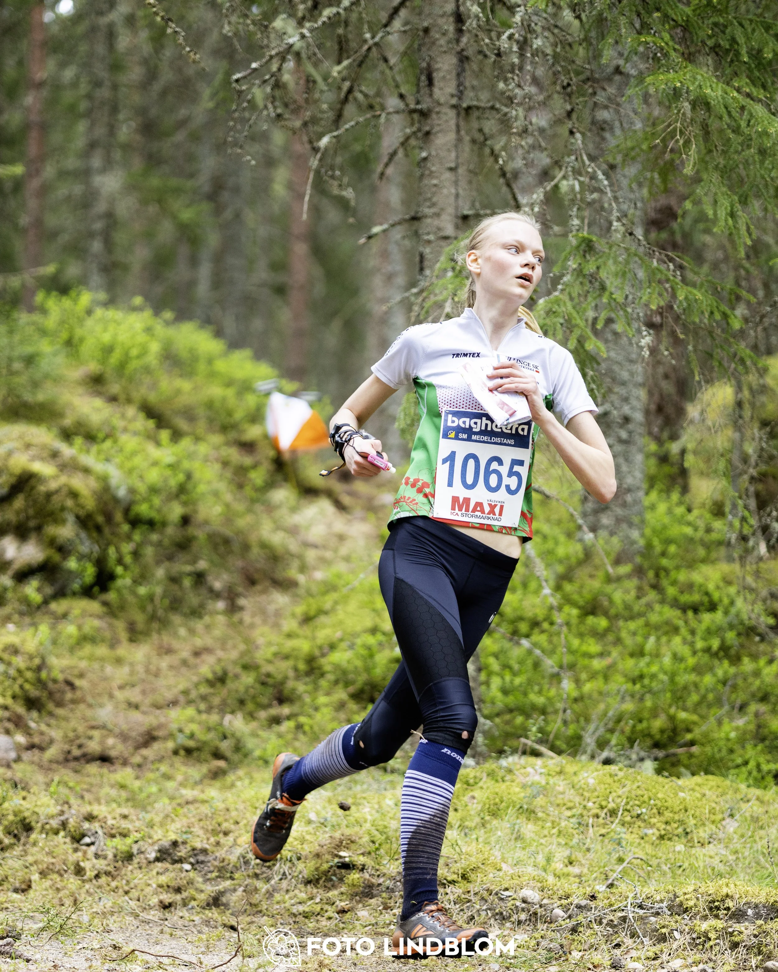 A picture from the Swedish national championship in middle distance orienteering and Swedish league race