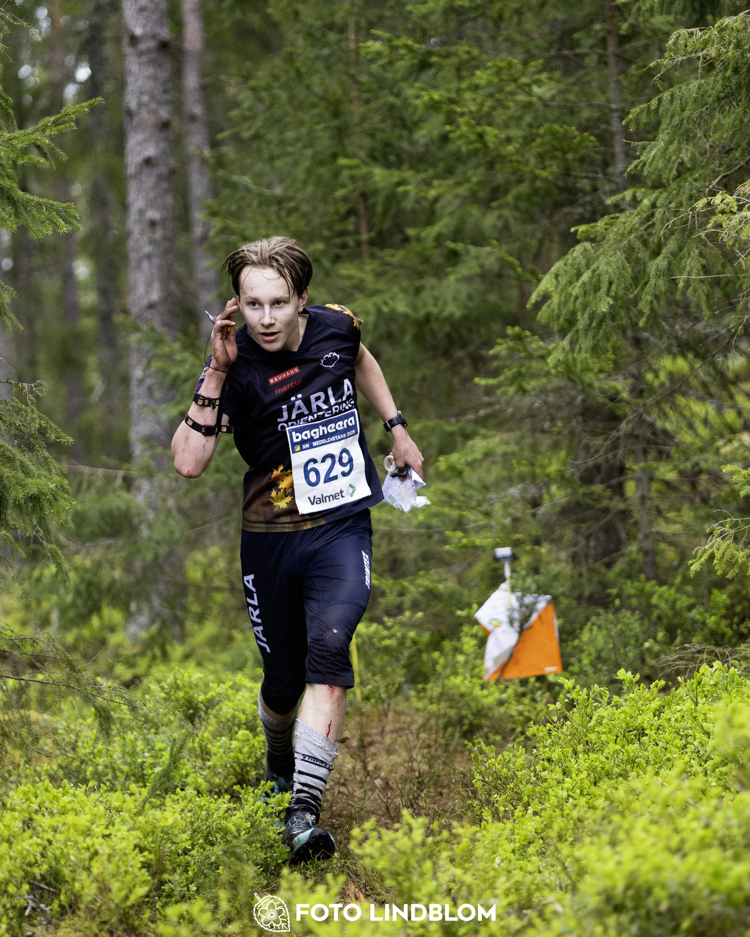 A picture from the Swedish national championship in middle distance orienteering and Swedish league race