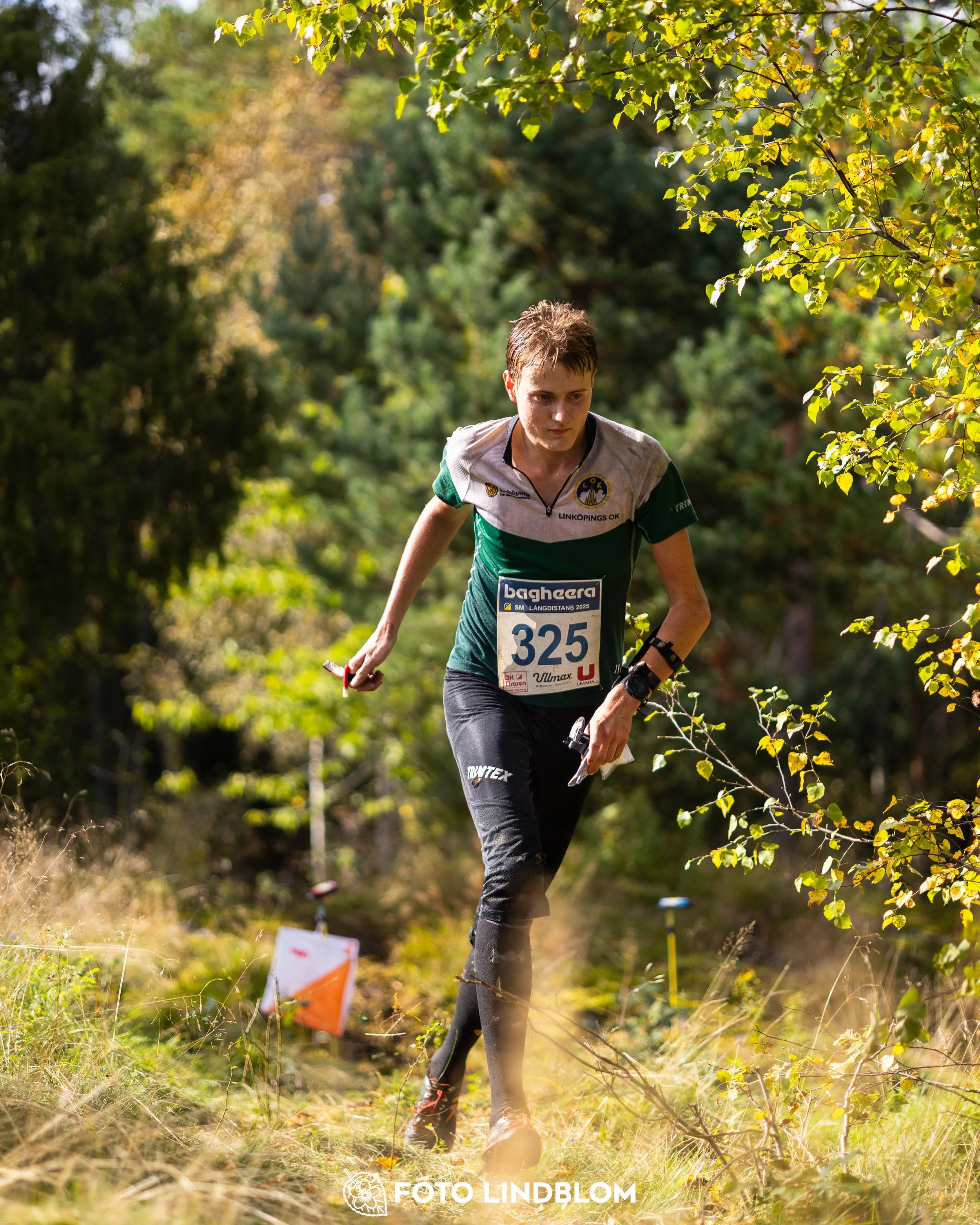 A picture from the Swedish national championship in long distance orienteering and Swedish league race taken by Foto Lindblom