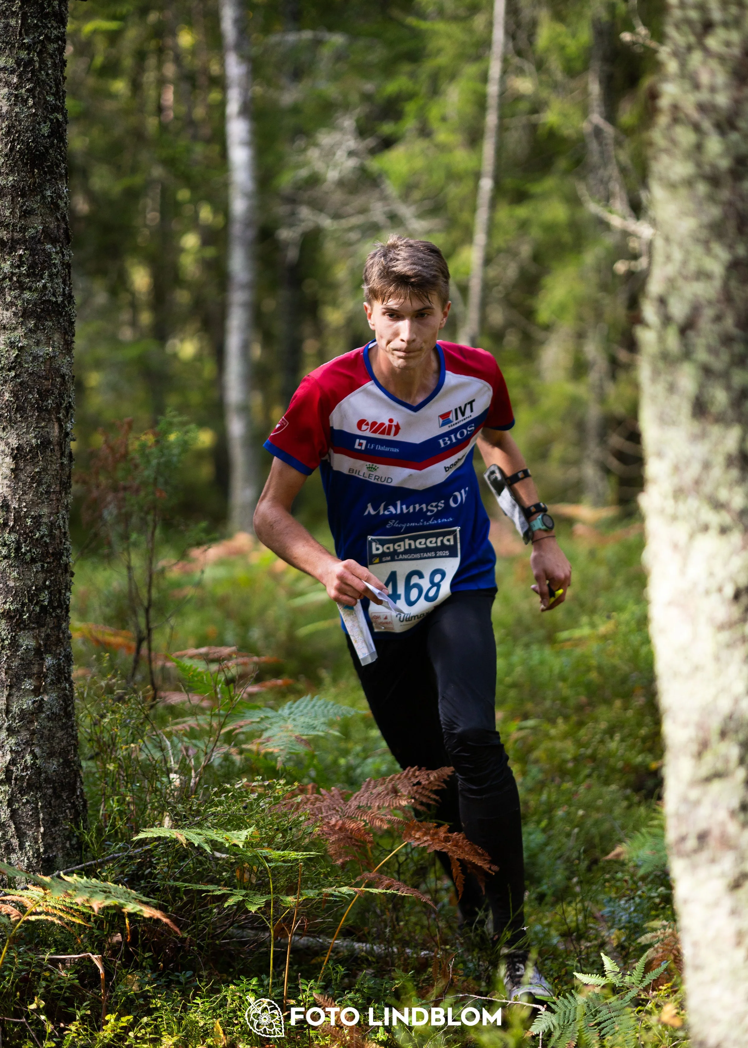 A picture from the Swedish national championship in long distance orienteering and Swedish league race taken by Foto Lindblom