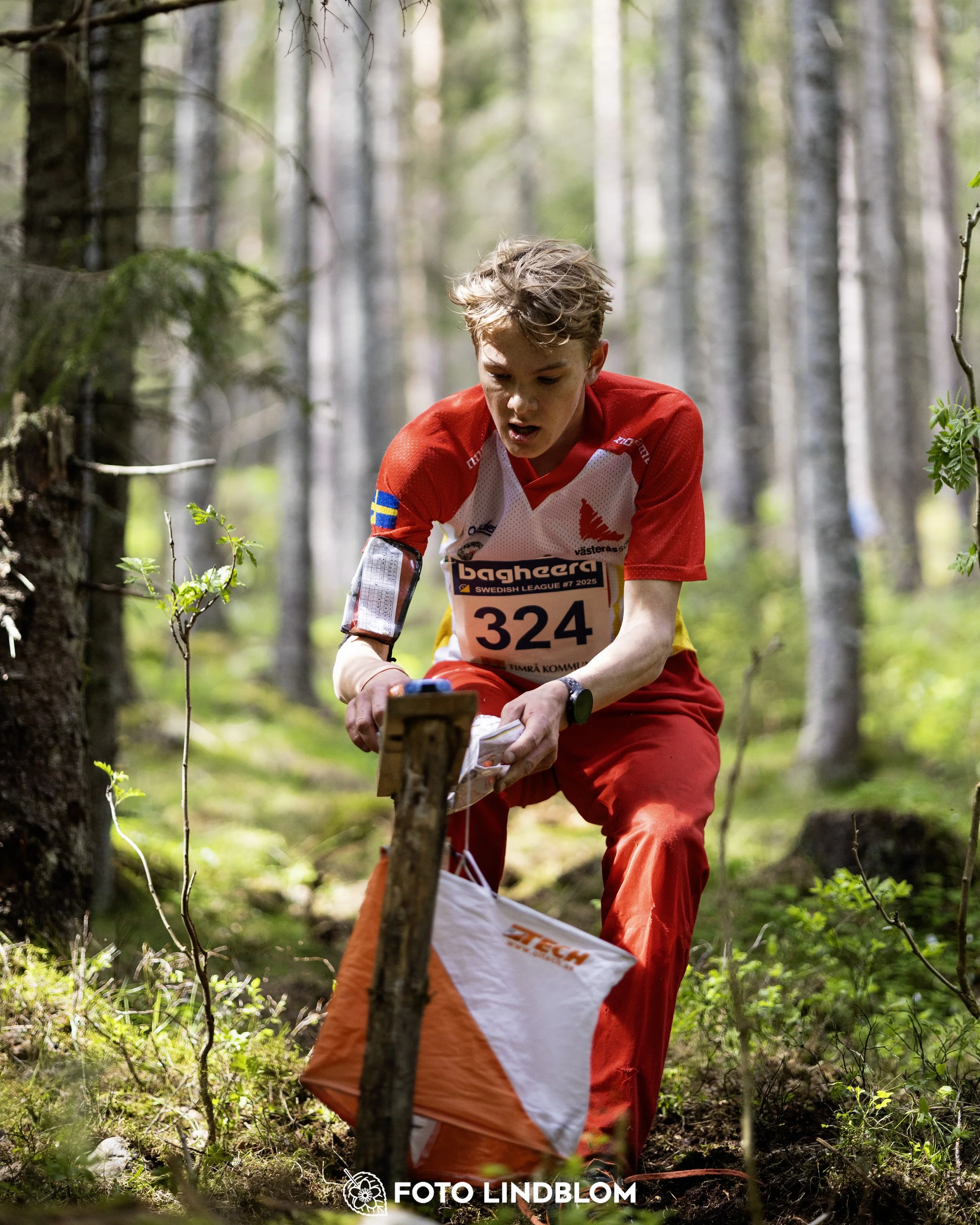A picture from the seventh stage of the Swedish League orienteering competition