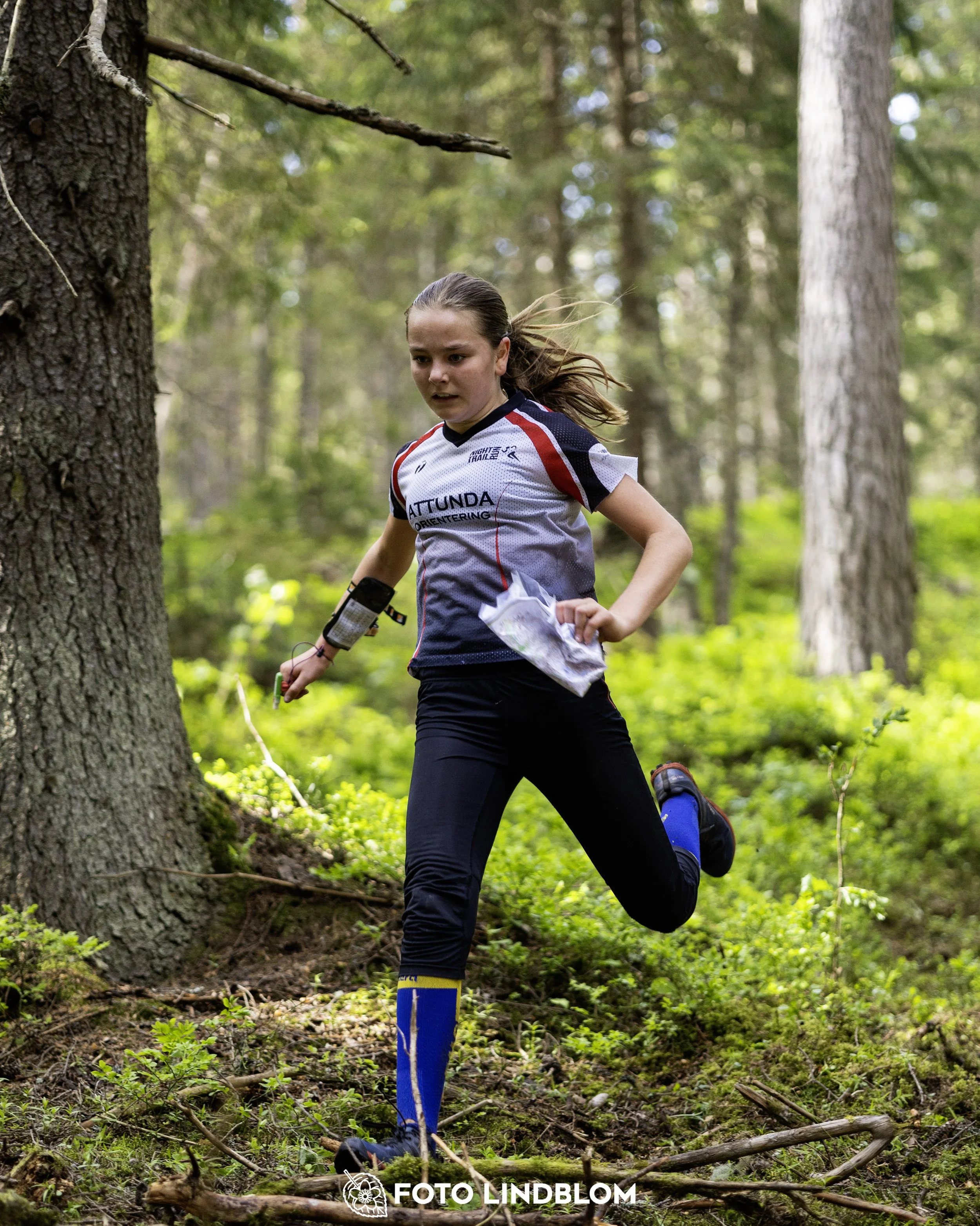 A picture from the seventh stage of the Swedish League orienteering competition