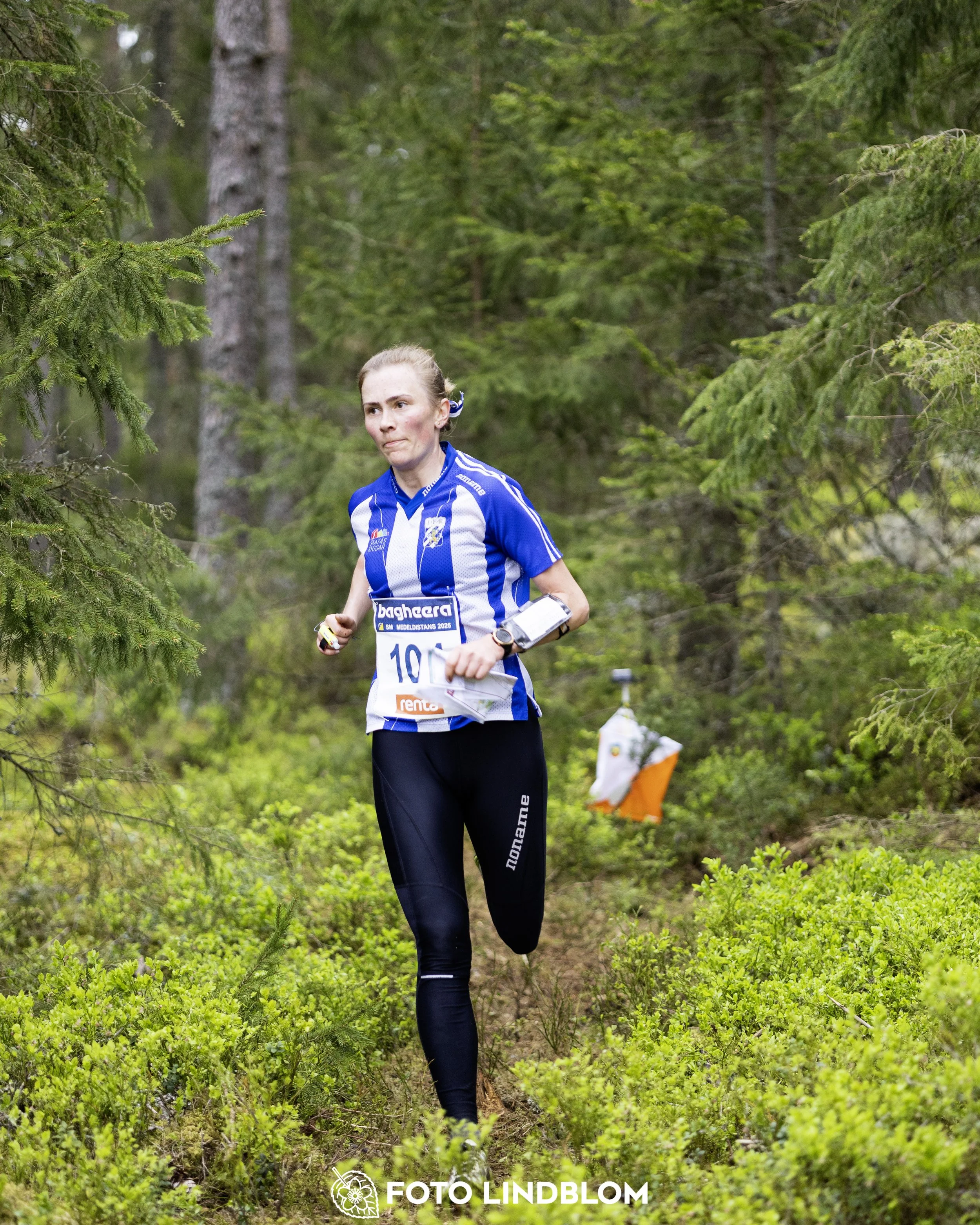 A picture from the Swedish national championship in middle distance orienteering and Swedish league race