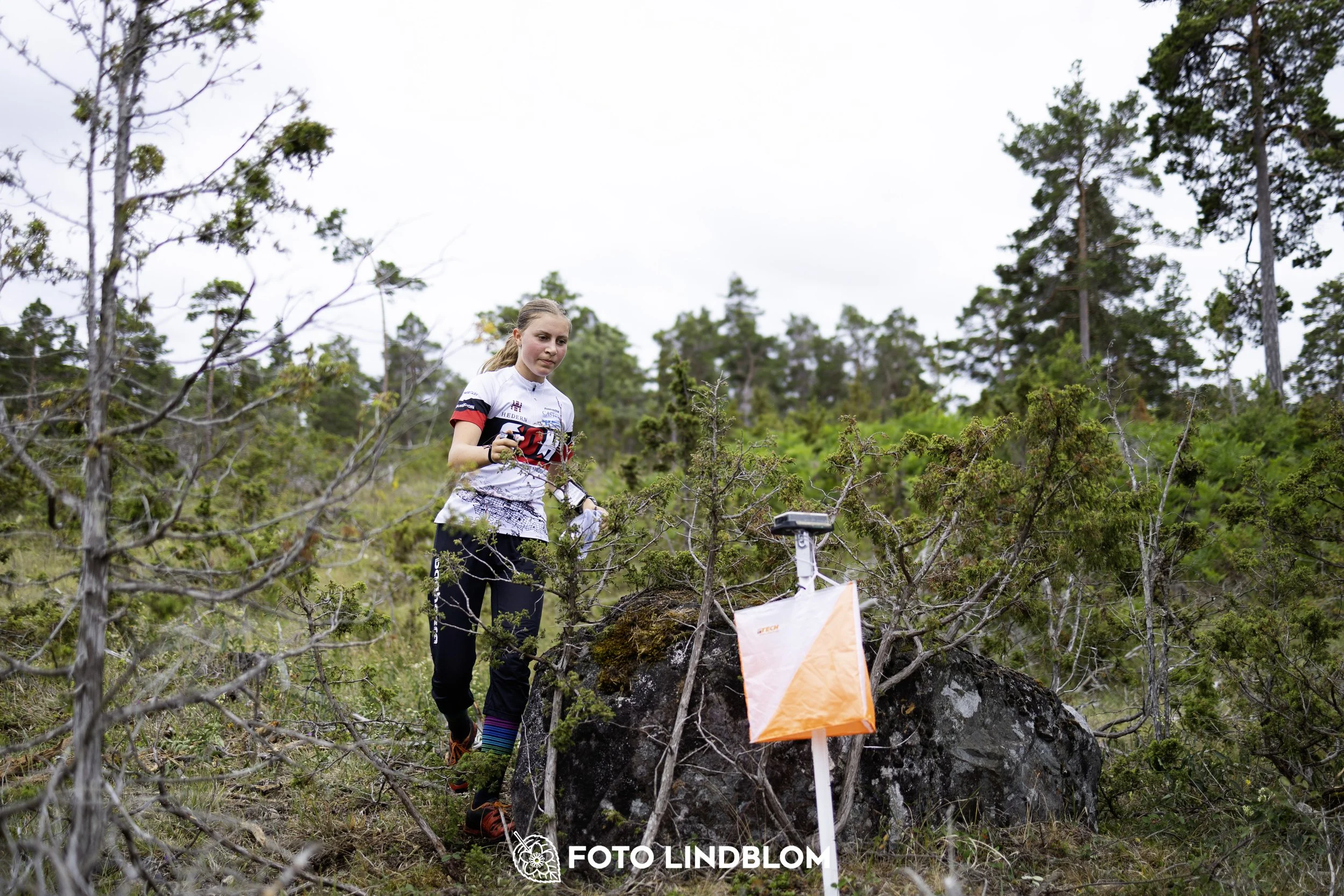 A picture from the Gotlands 2-Dagars orienteering competition