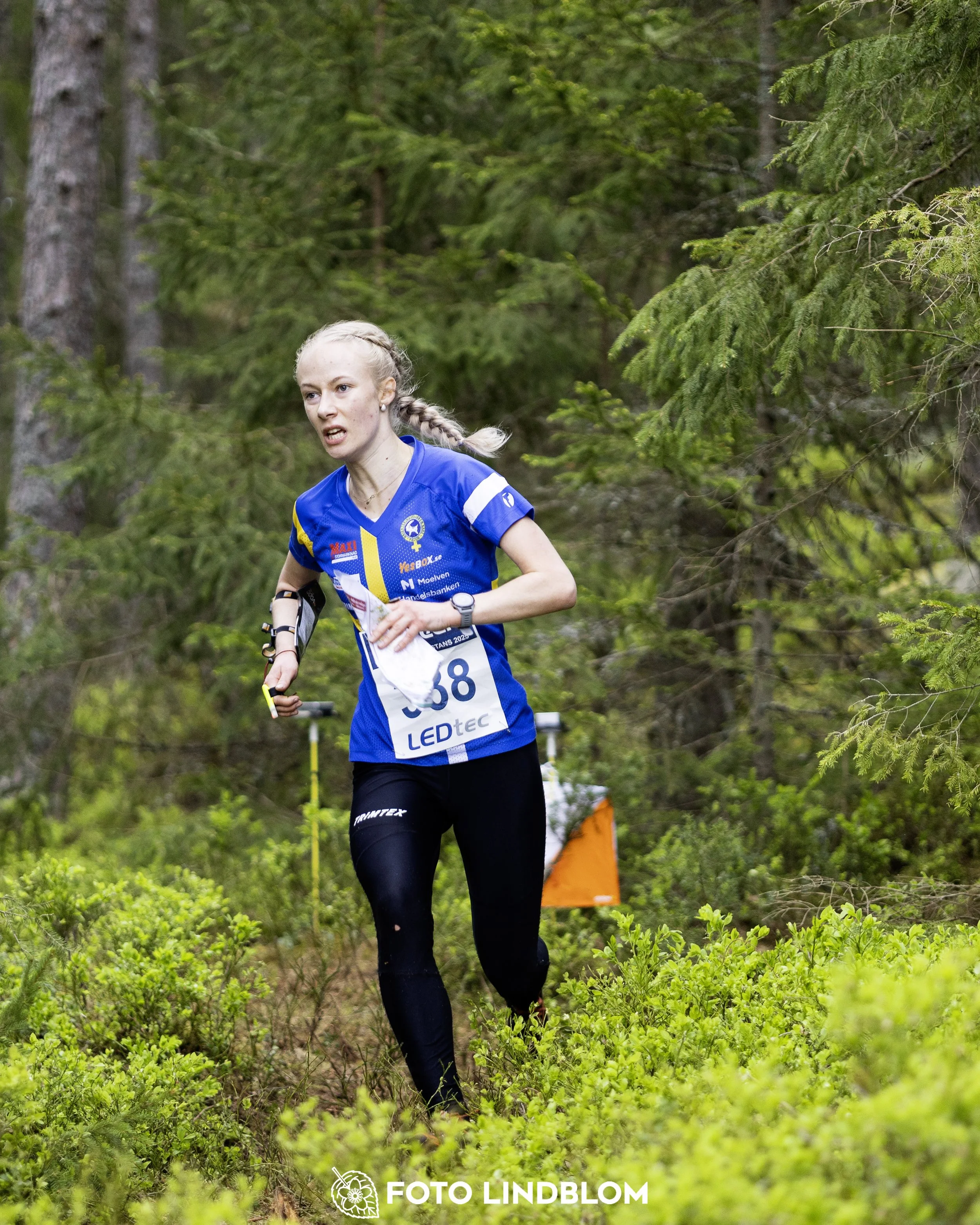 A picture from the Swedish national championship in middle distance orienteering and Swedish league race