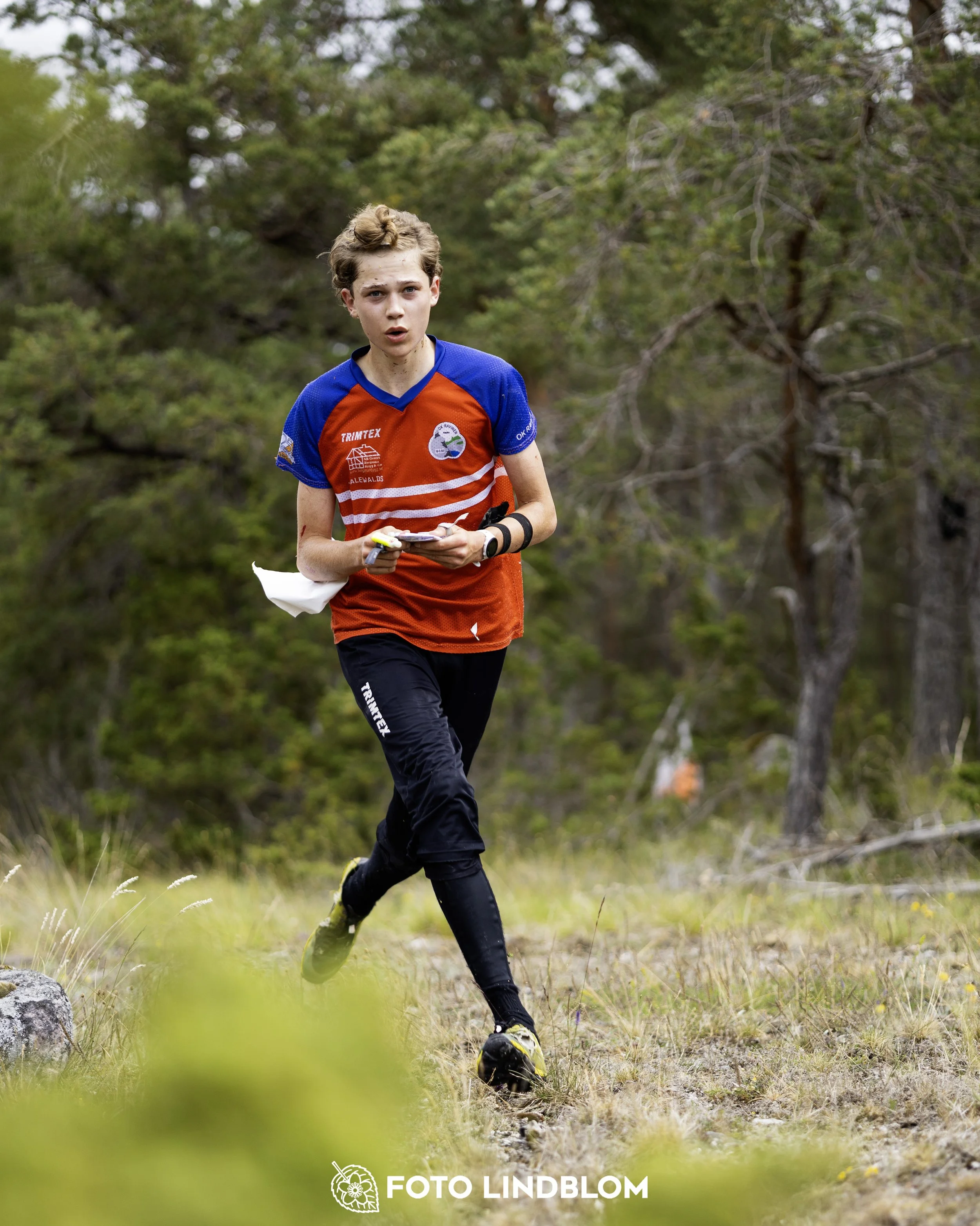 A picture from the Gotlands 2-Dagars orienteering competition