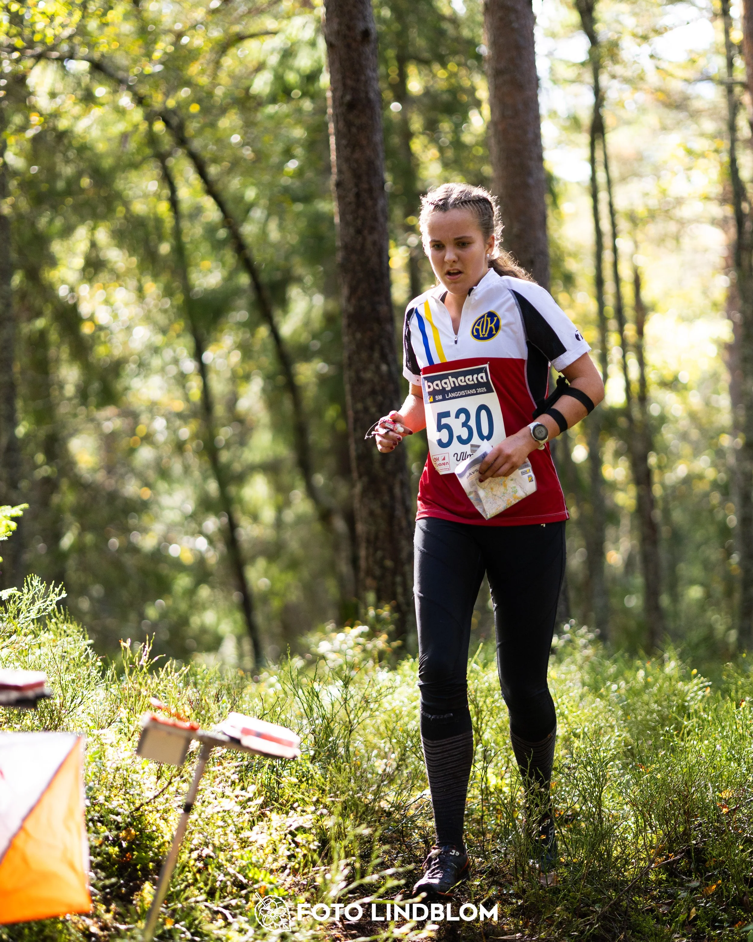 A picture from the Swedish national championship in long distance orienteering and Swedish league race taken by Foto Lindblom