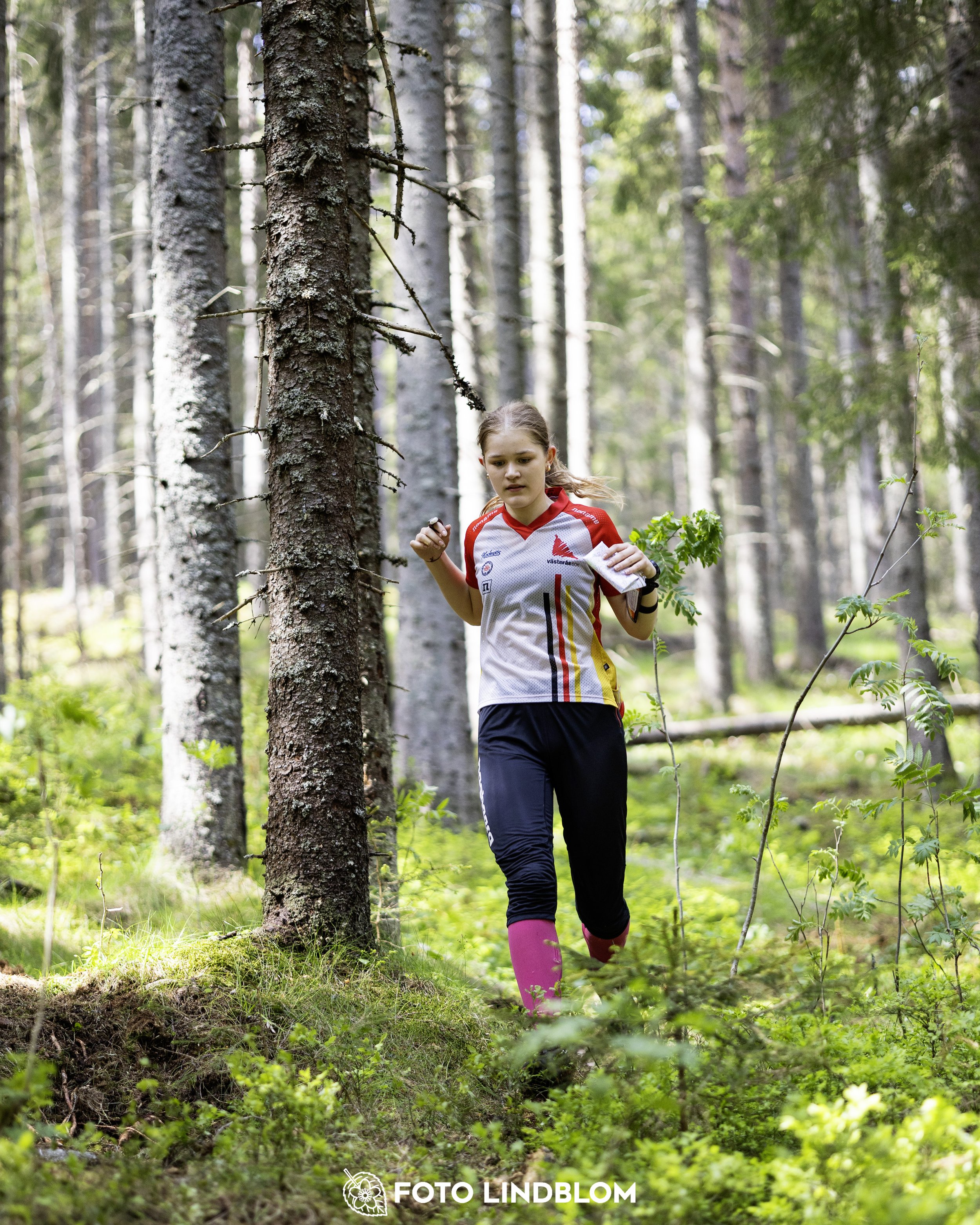 A picture from the seventh stage of the Swedish League orienteering competition