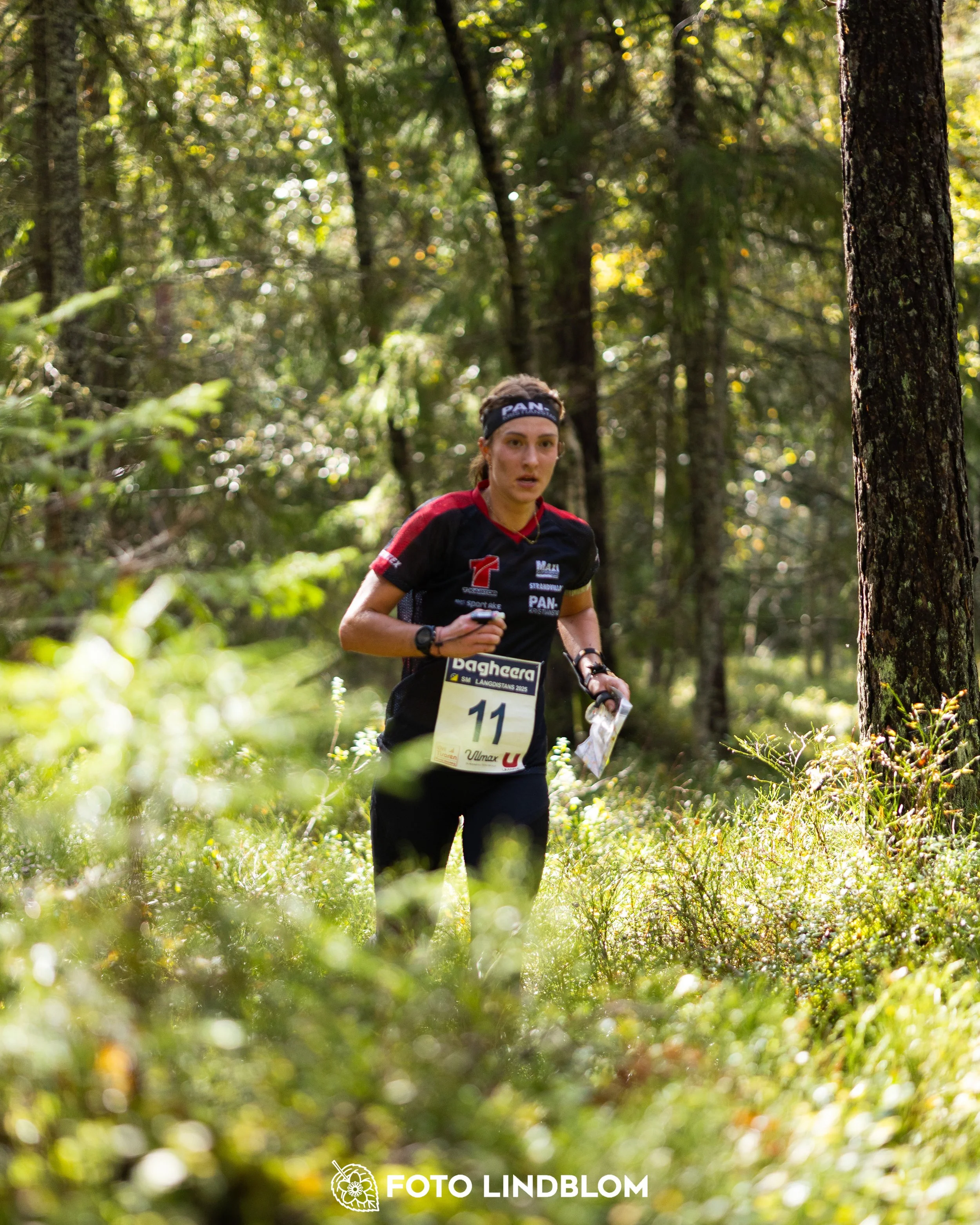 A picture from the Swedish national championship in long distance orienteering and Swedish league race taken by Foto Lindblom