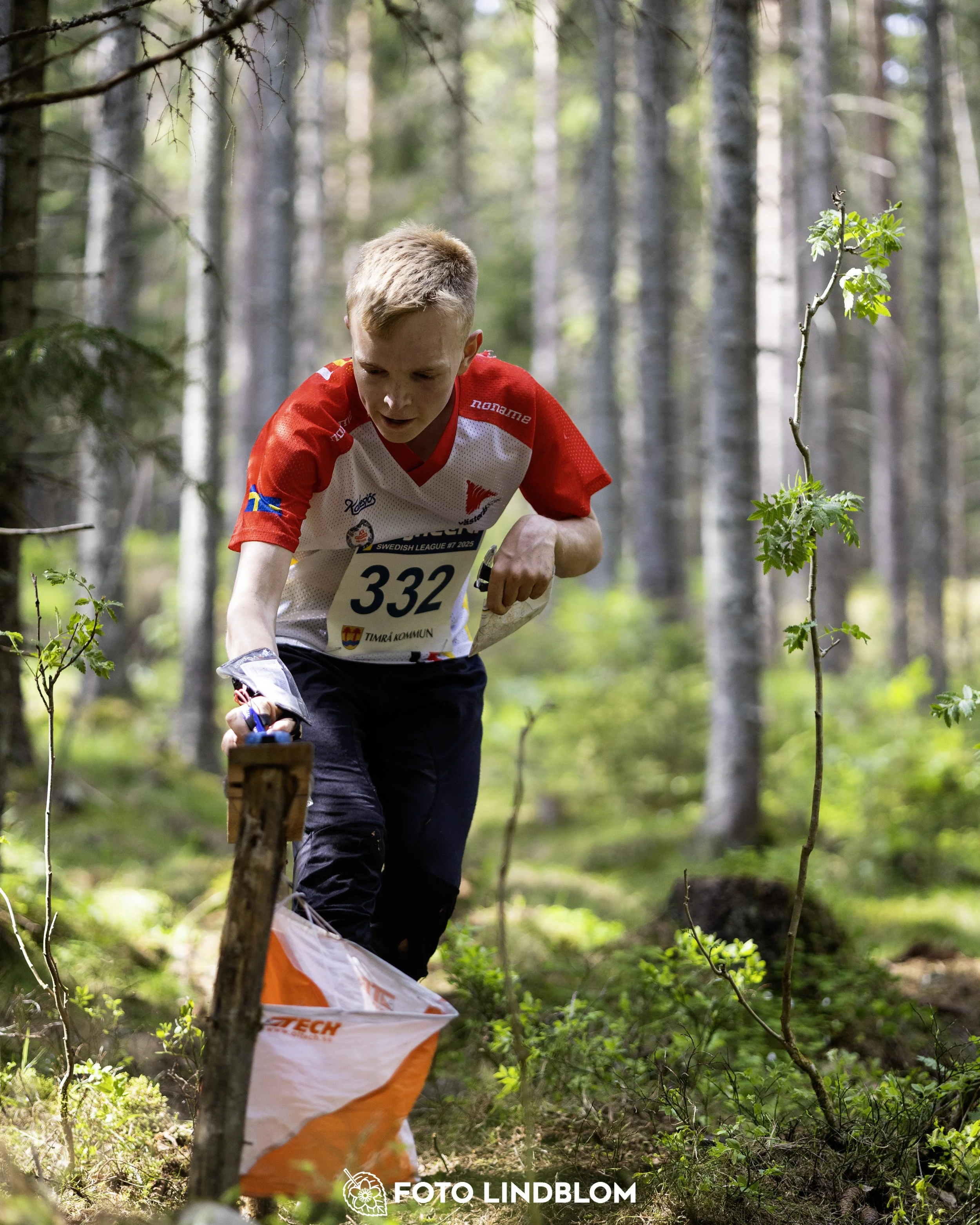 A picture from the seventh stage of the Swedish League orienteering competition